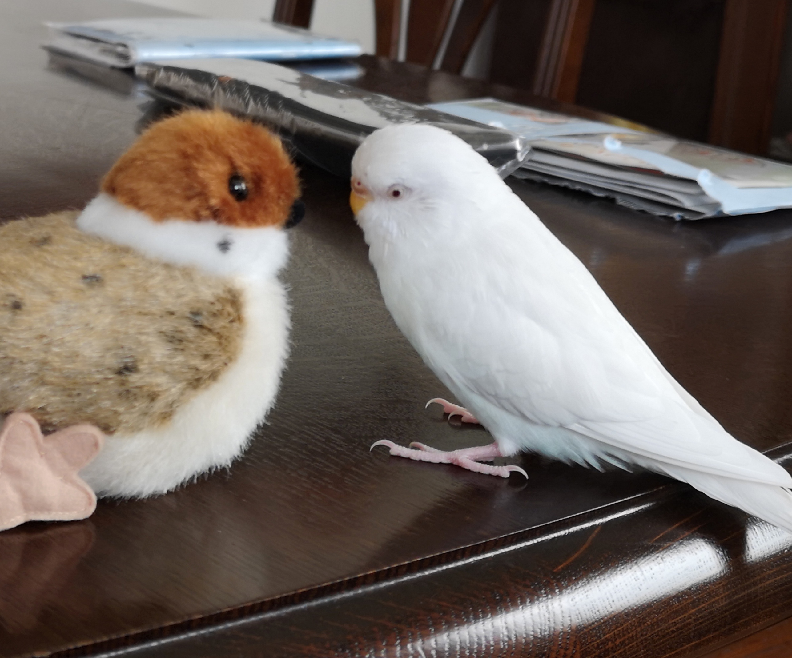 ユーザーの写真