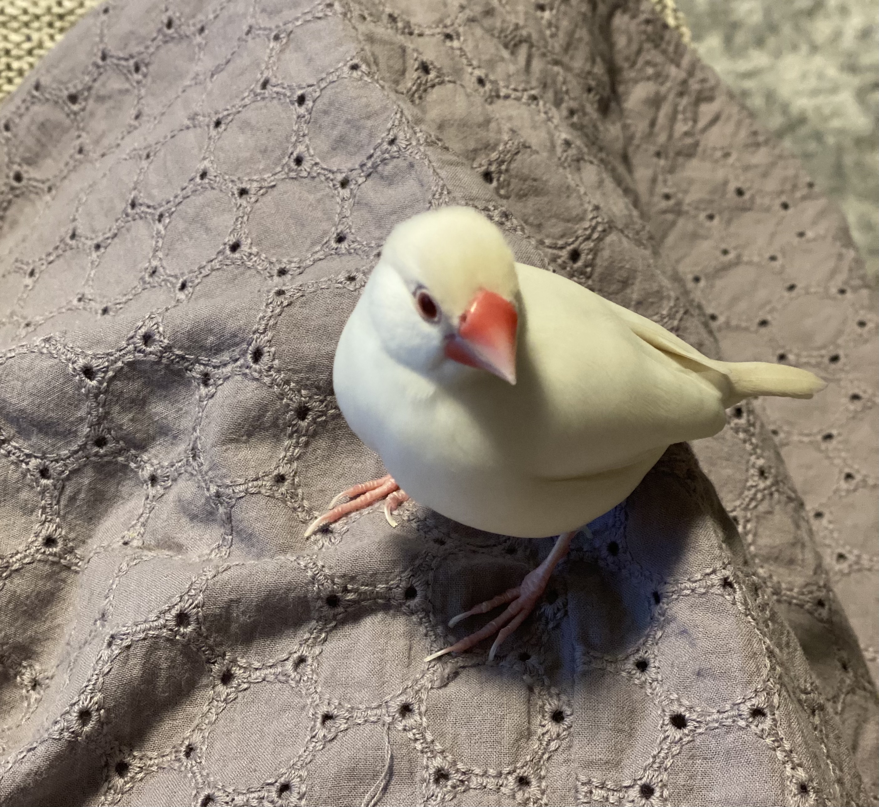 ユーザーの写真