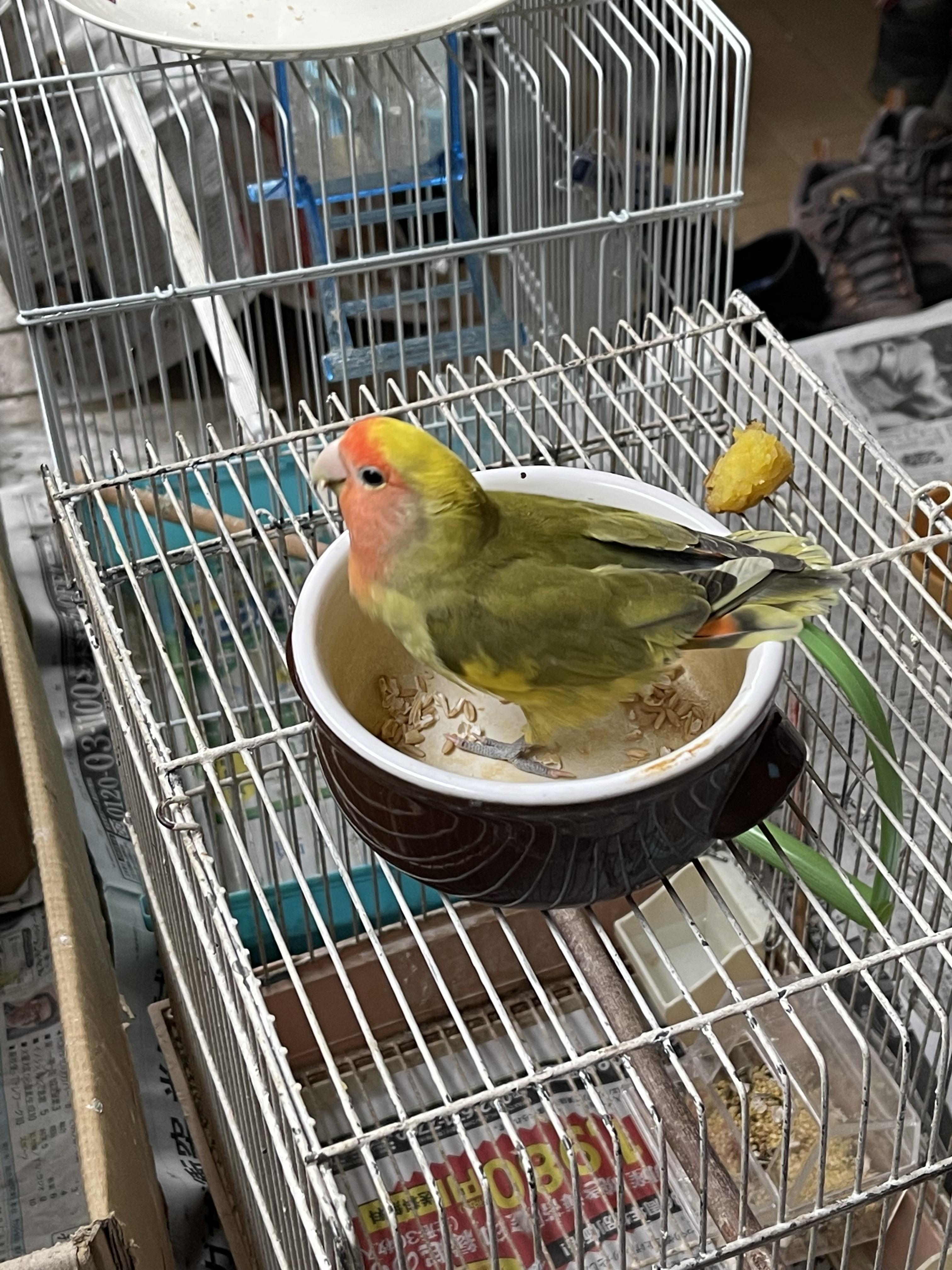 ユーザーの写真