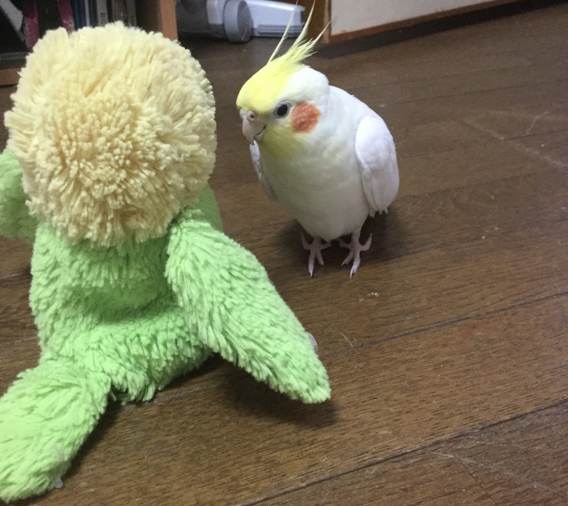 ユーザーの写真