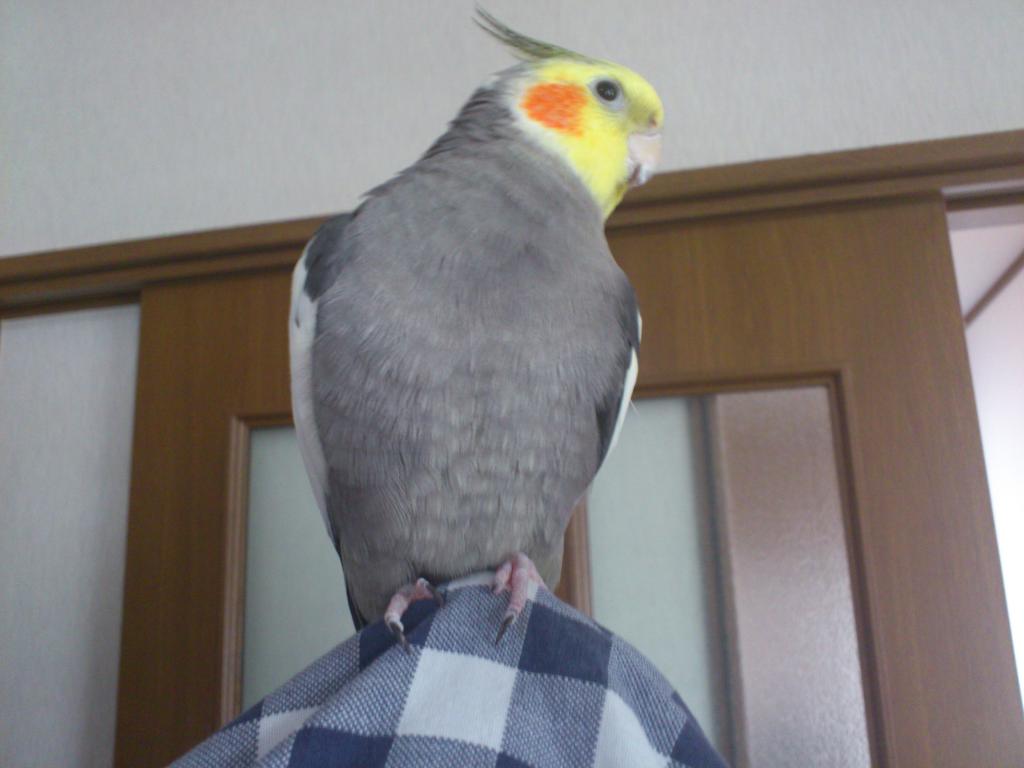 ユーザーの写真