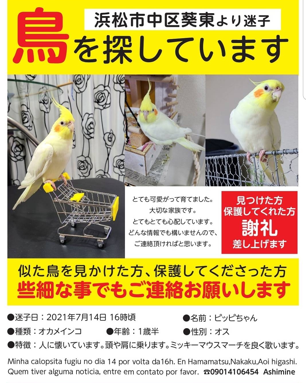 ユーザーの写真