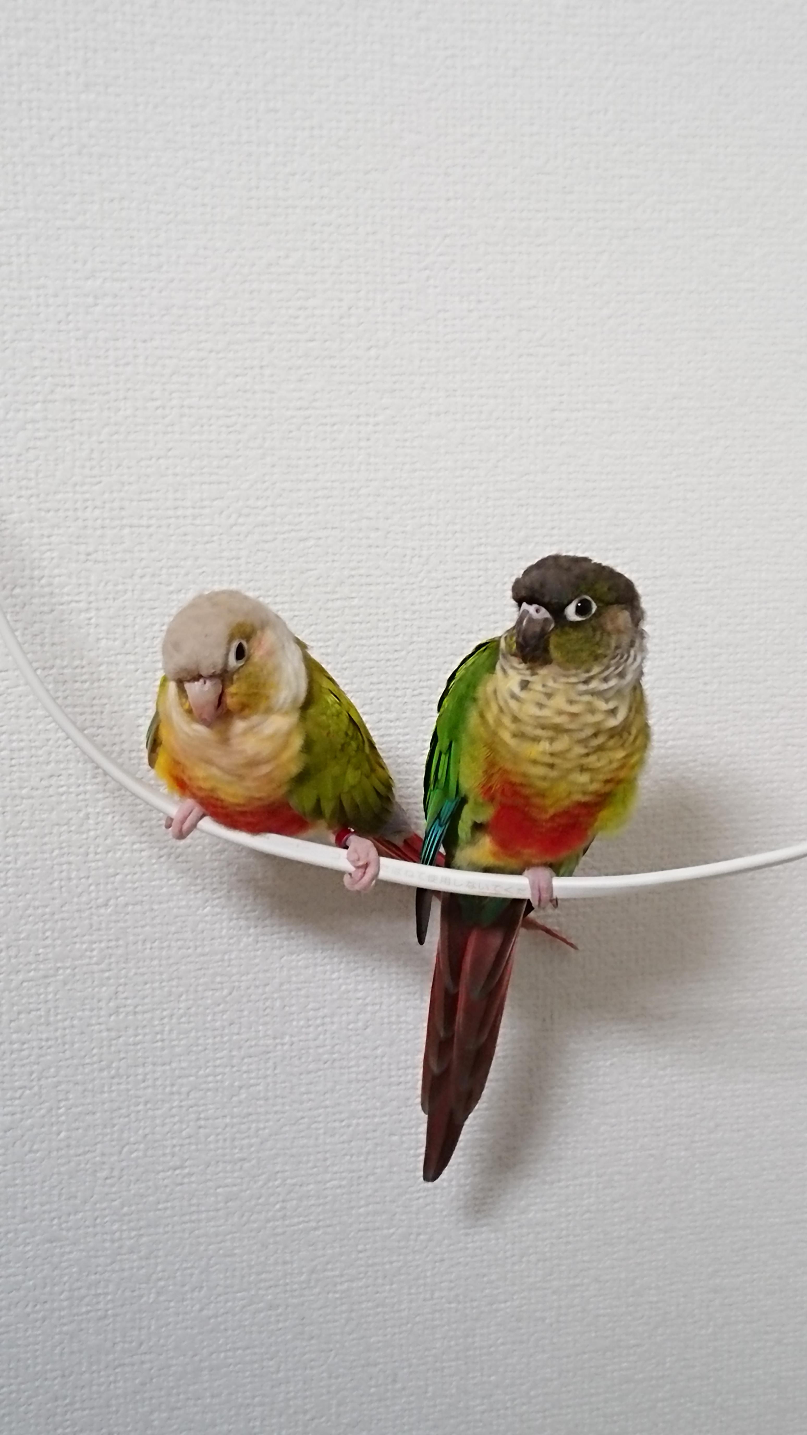 ユーザーの写真