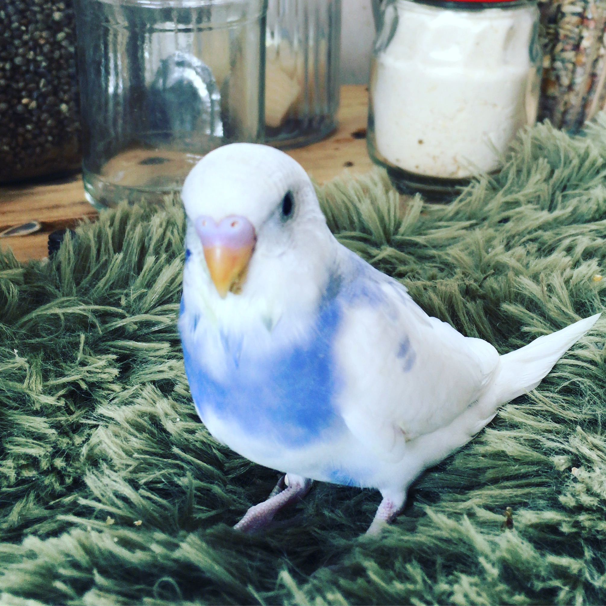 ユーザーの写真