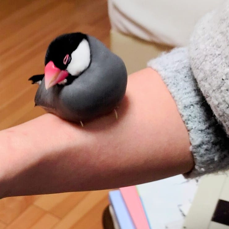 ユーザーの写真