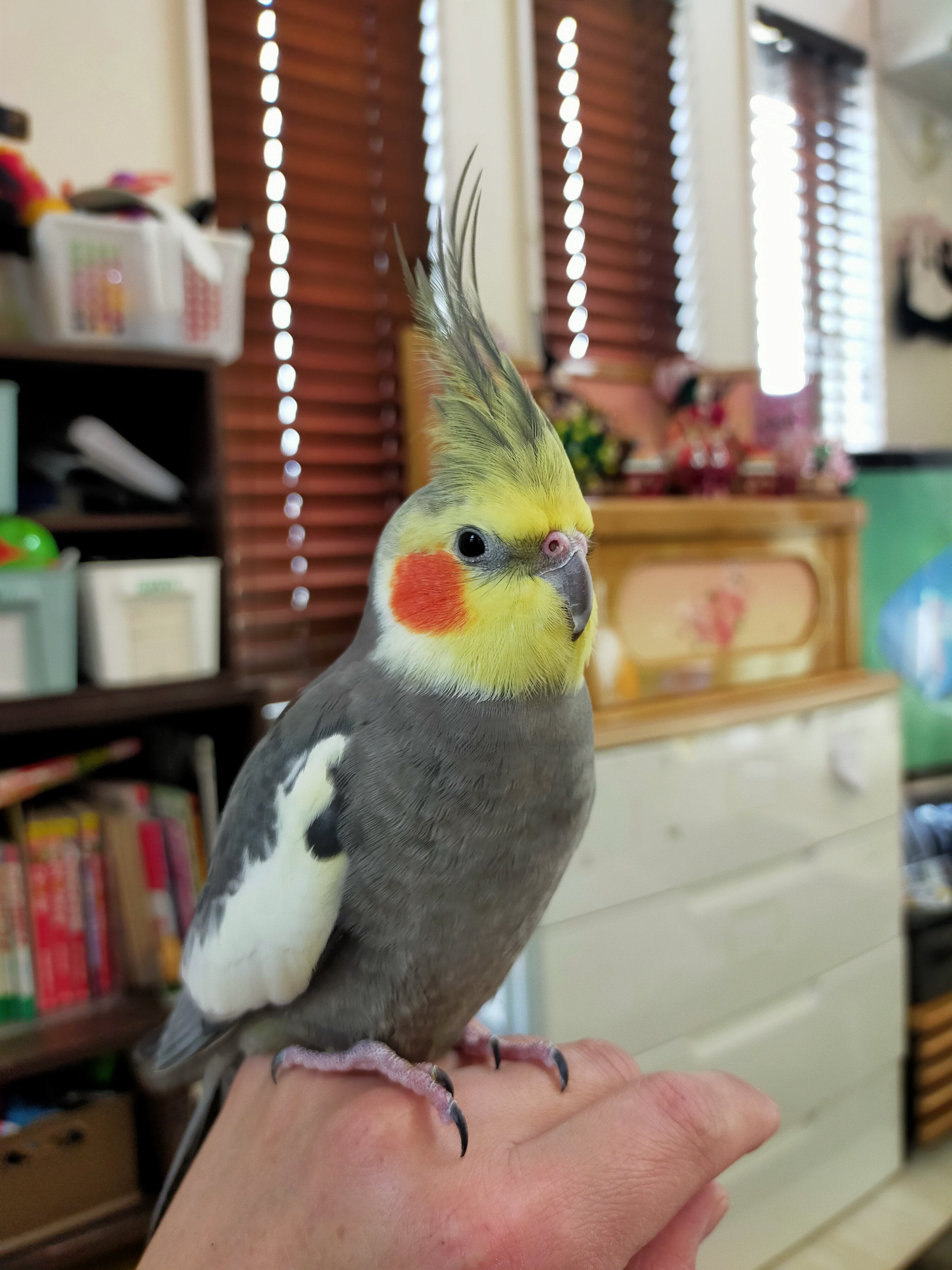 ユーザーの写真