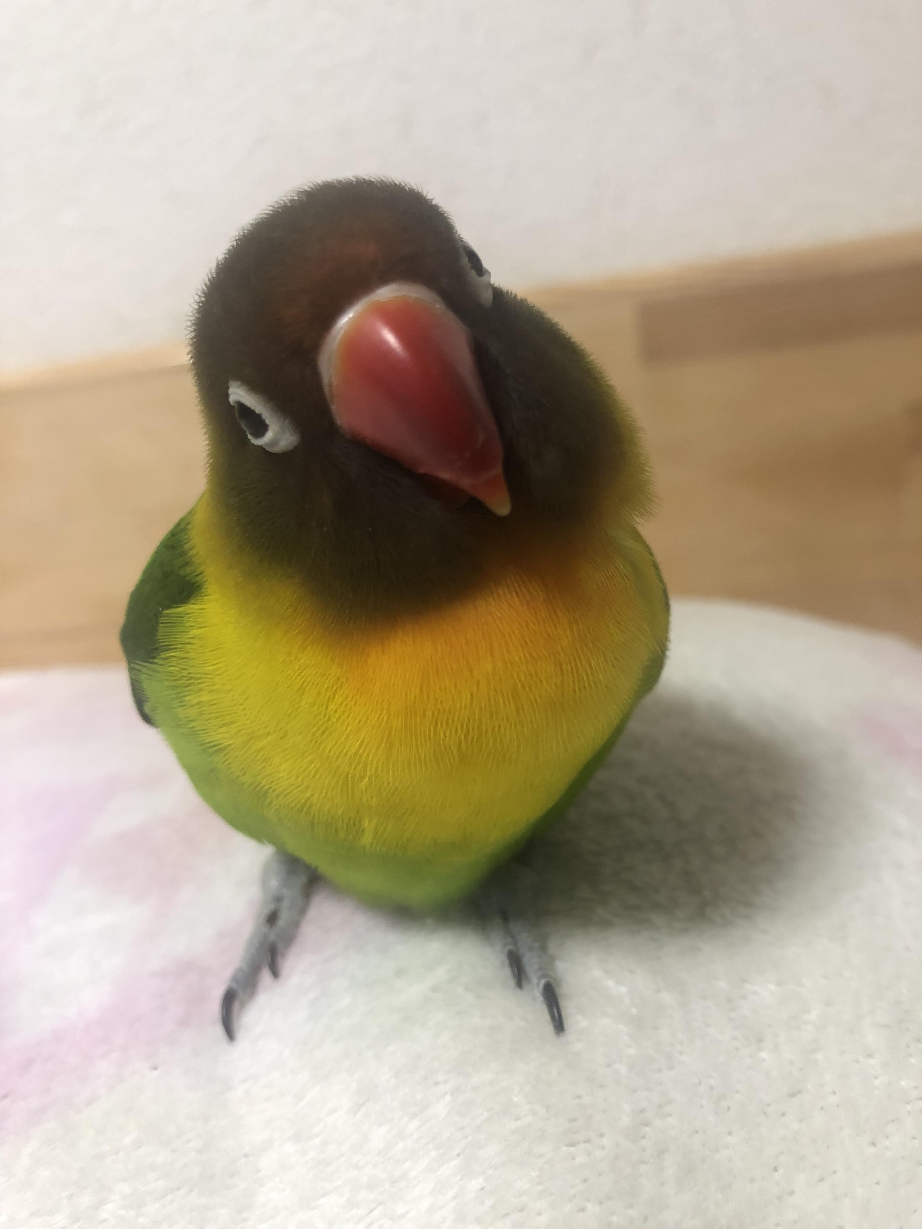 ユーザーの写真