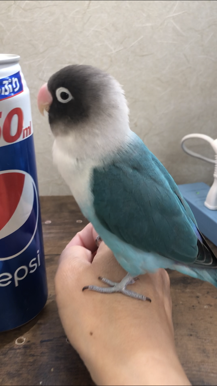 ユーザーの写真