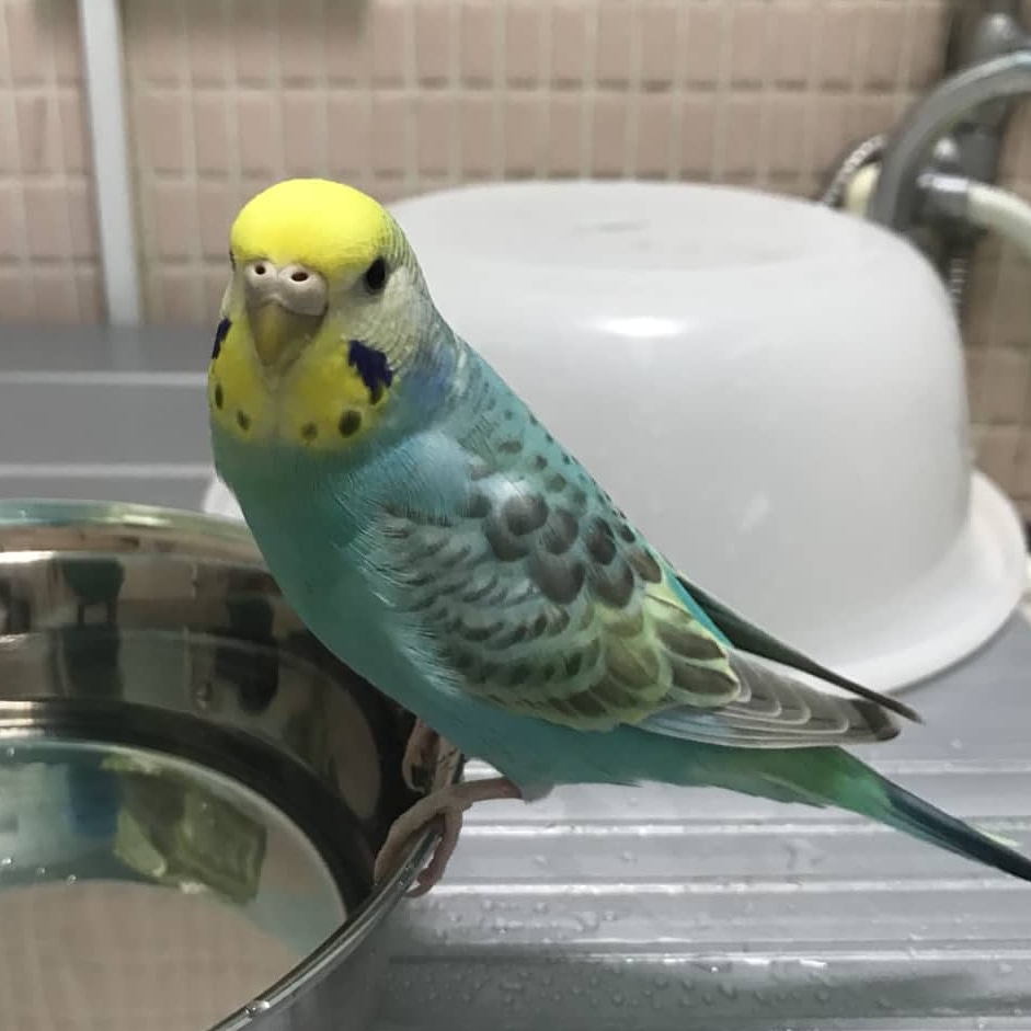 ユーザーの写真