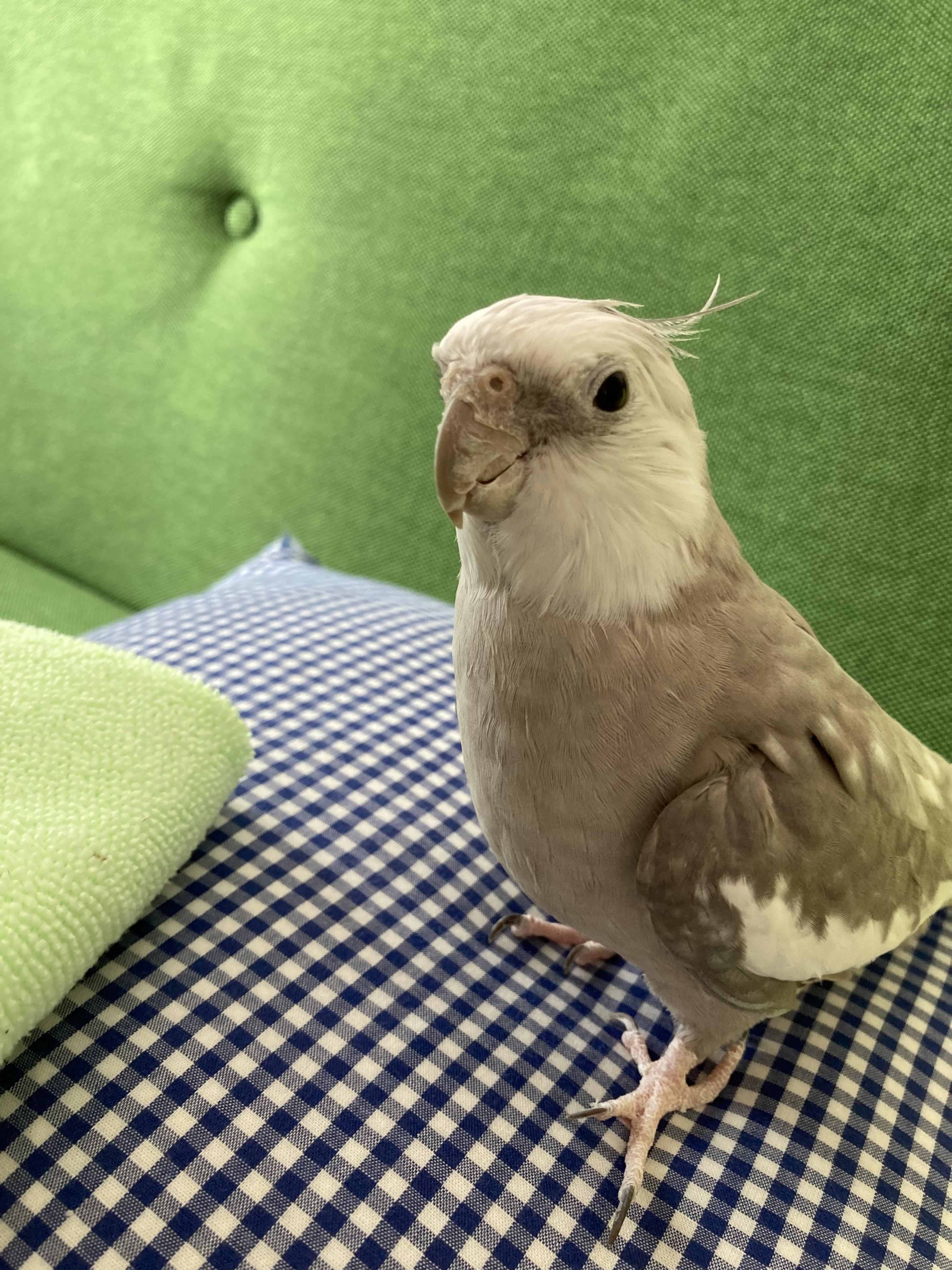 ユーザーの写真