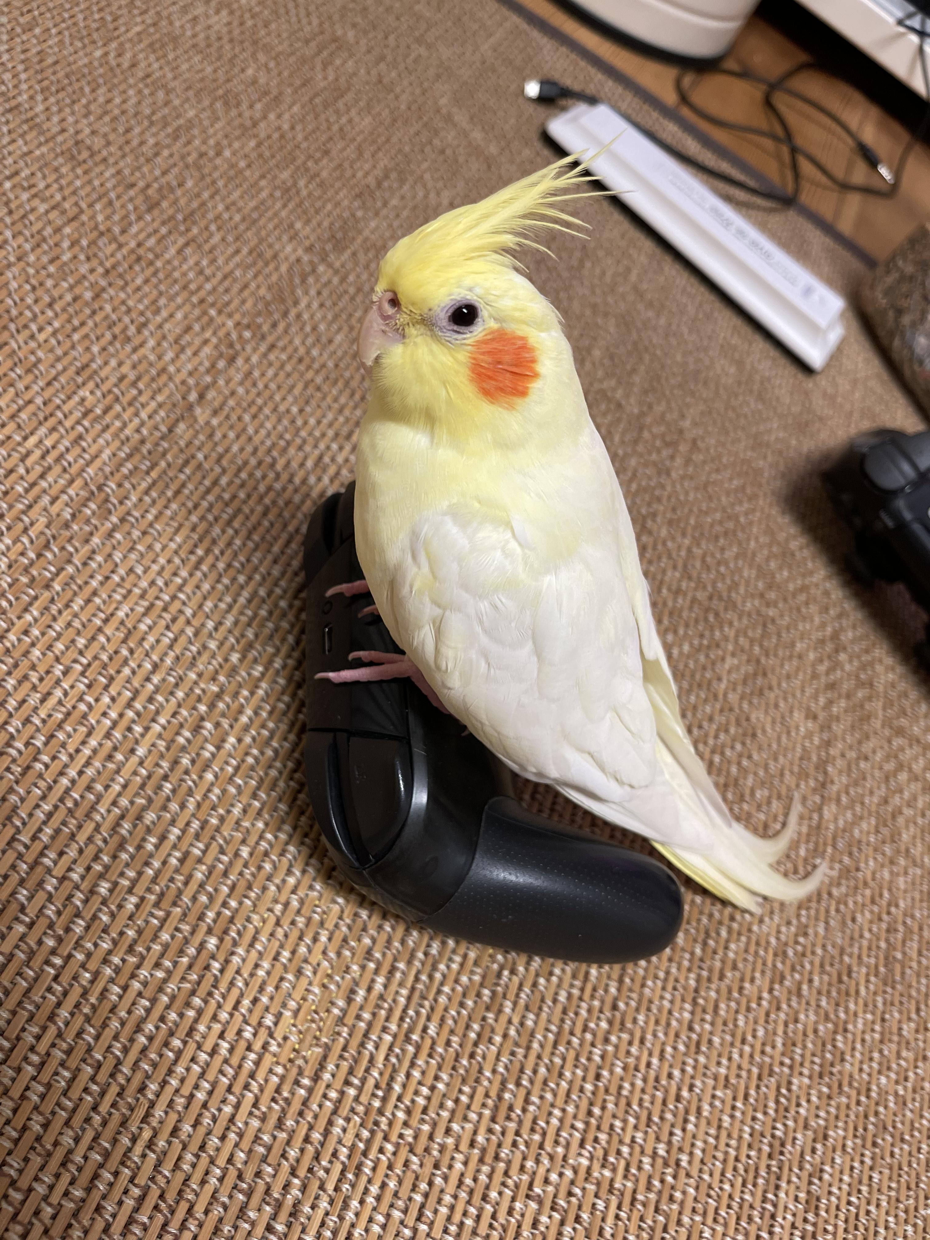 ユーザーの写真
