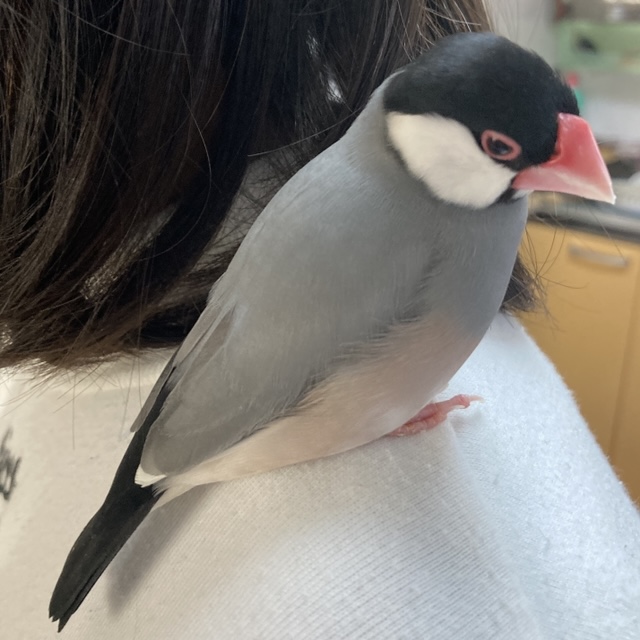 ユーザーの写真