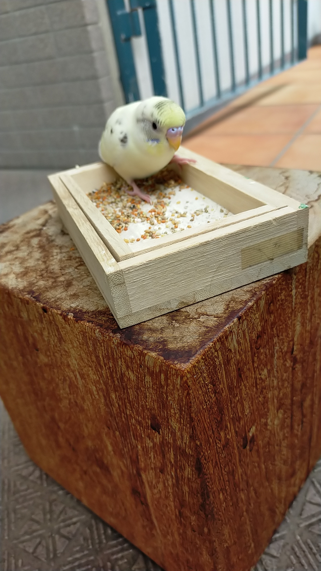 ユーザーの写真