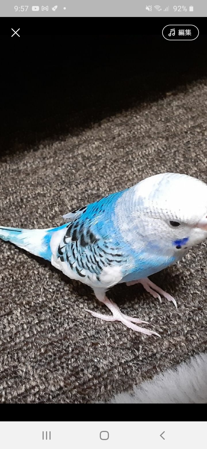 ユーザーの写真
