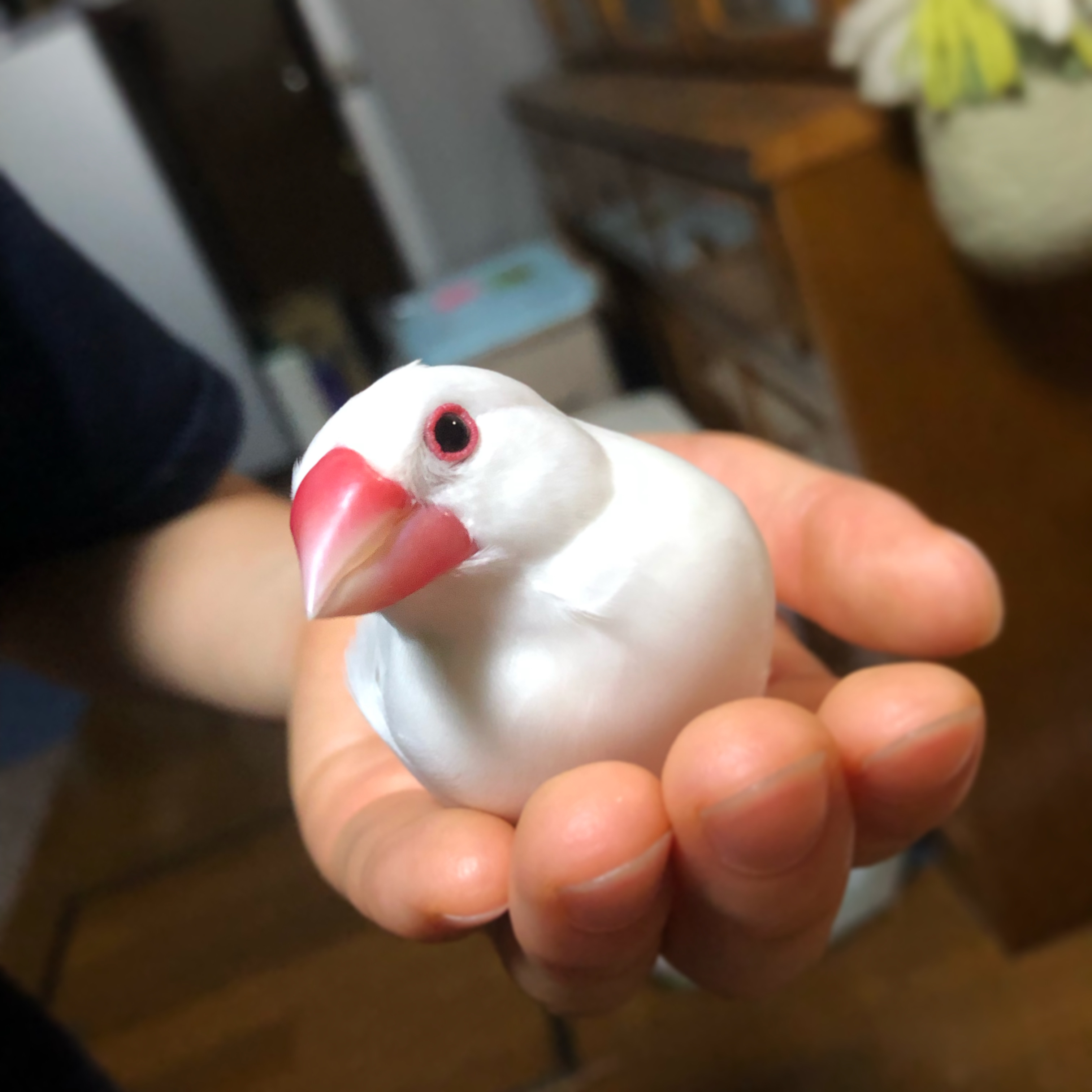 ユーザーの写真