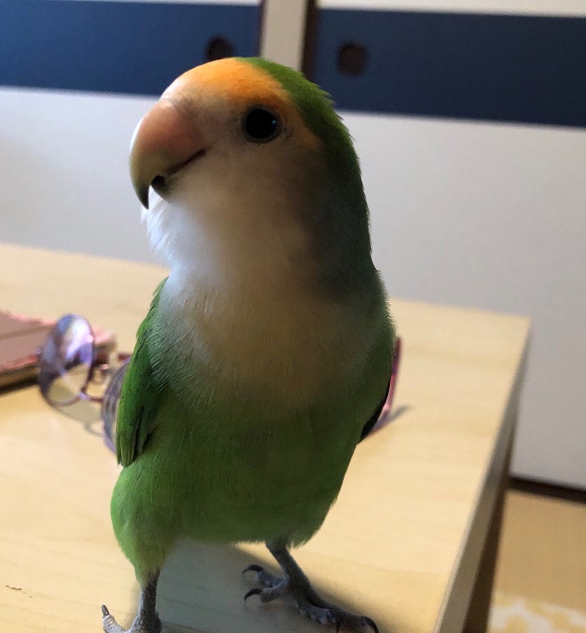 ユーザーの写真