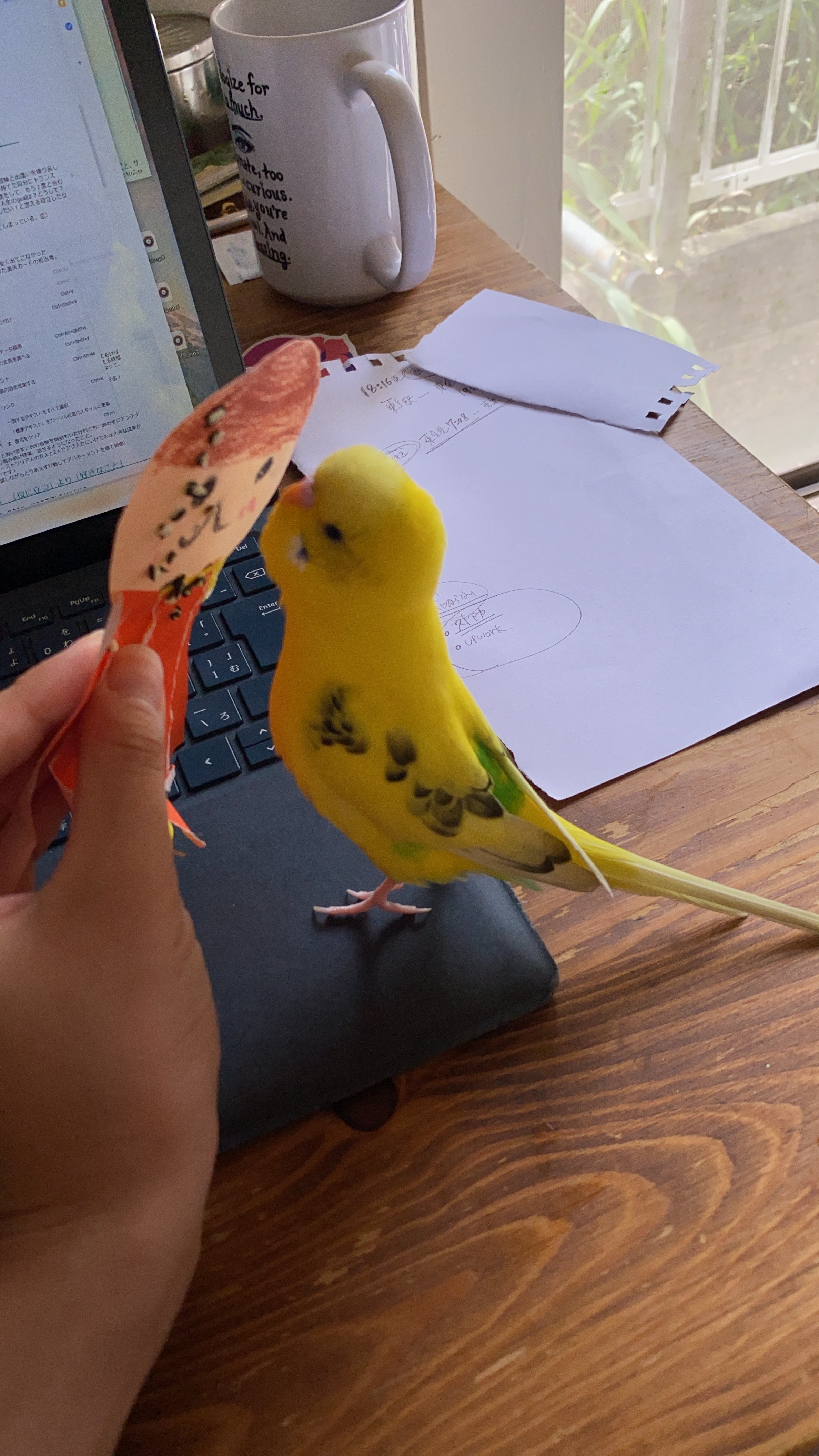 ユーザーの写真