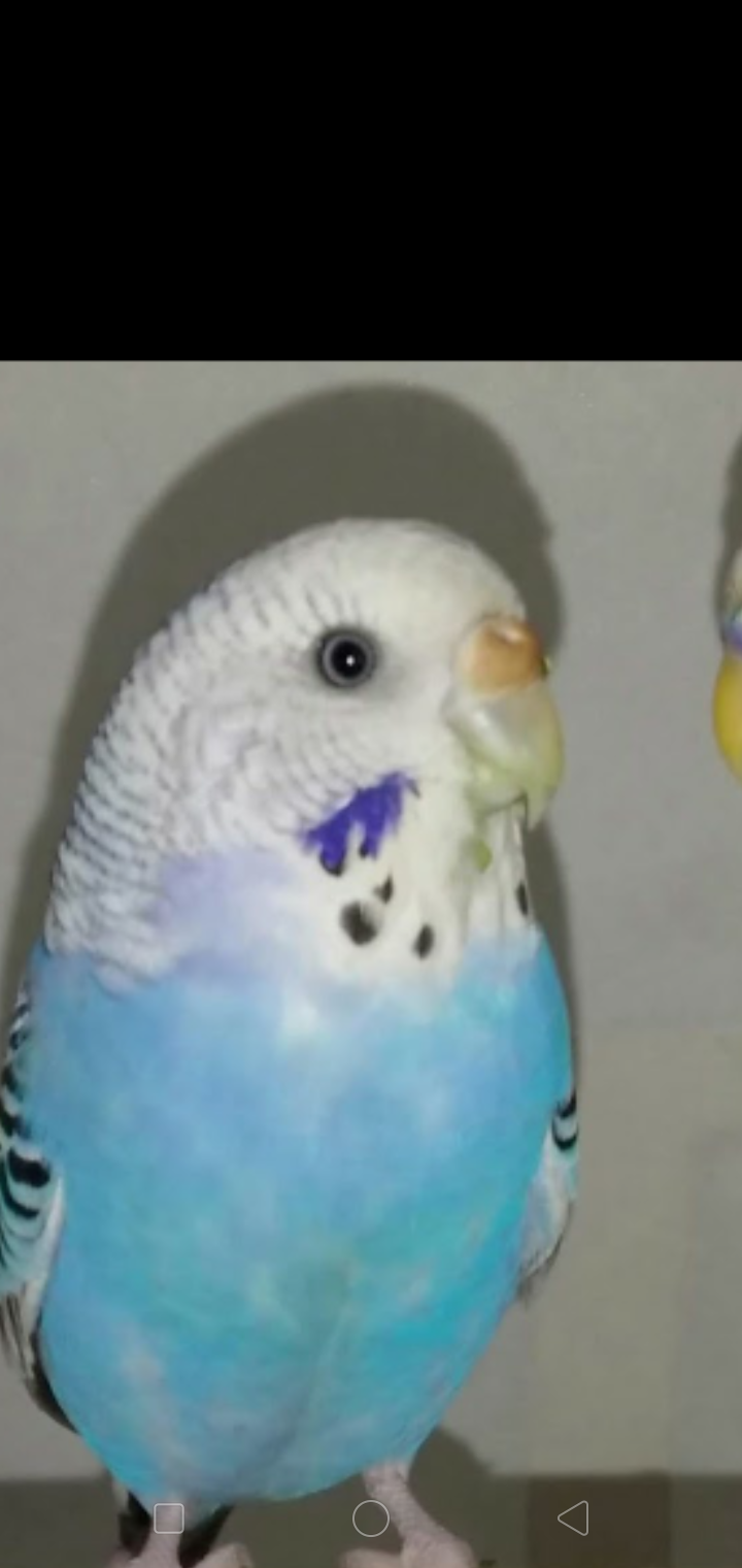 ユーザーの写真