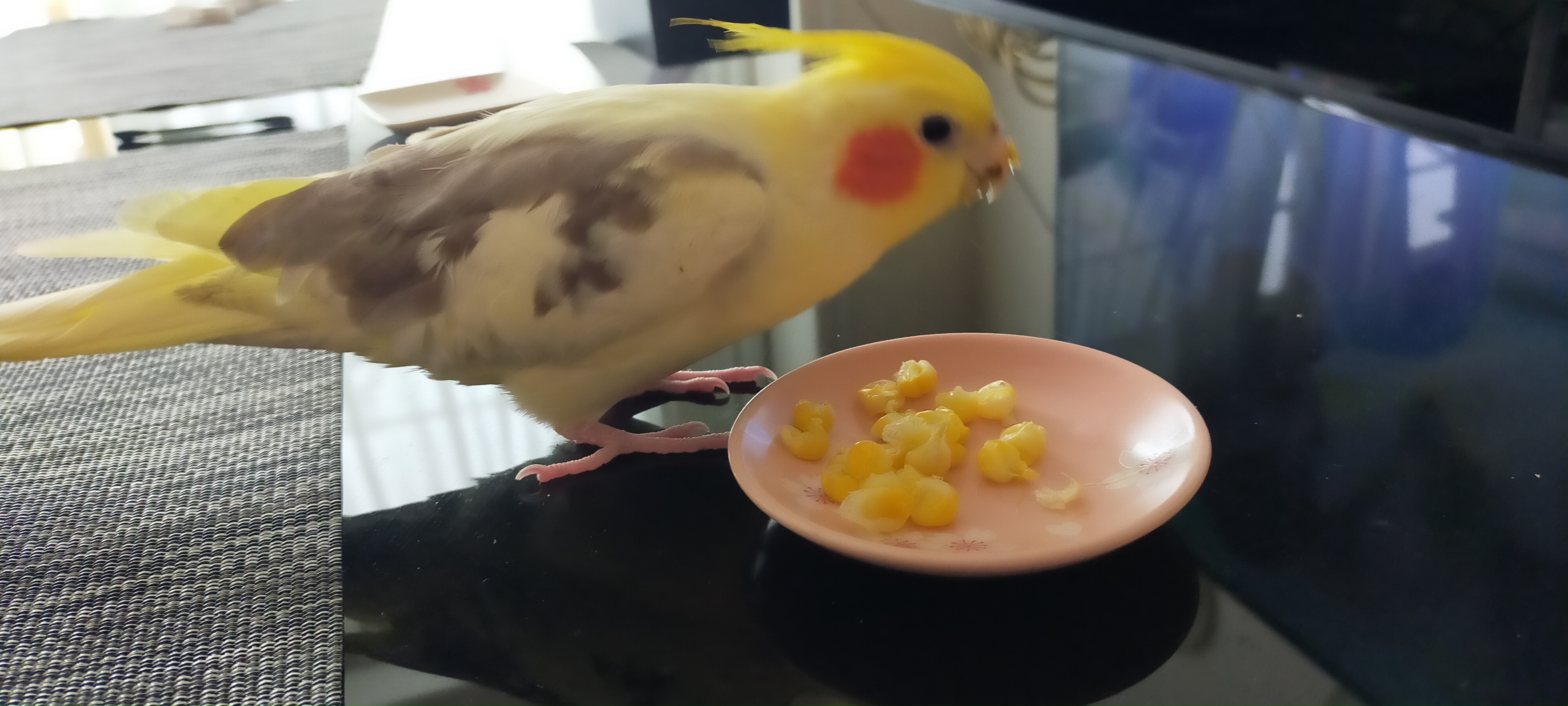ユーザーの写真