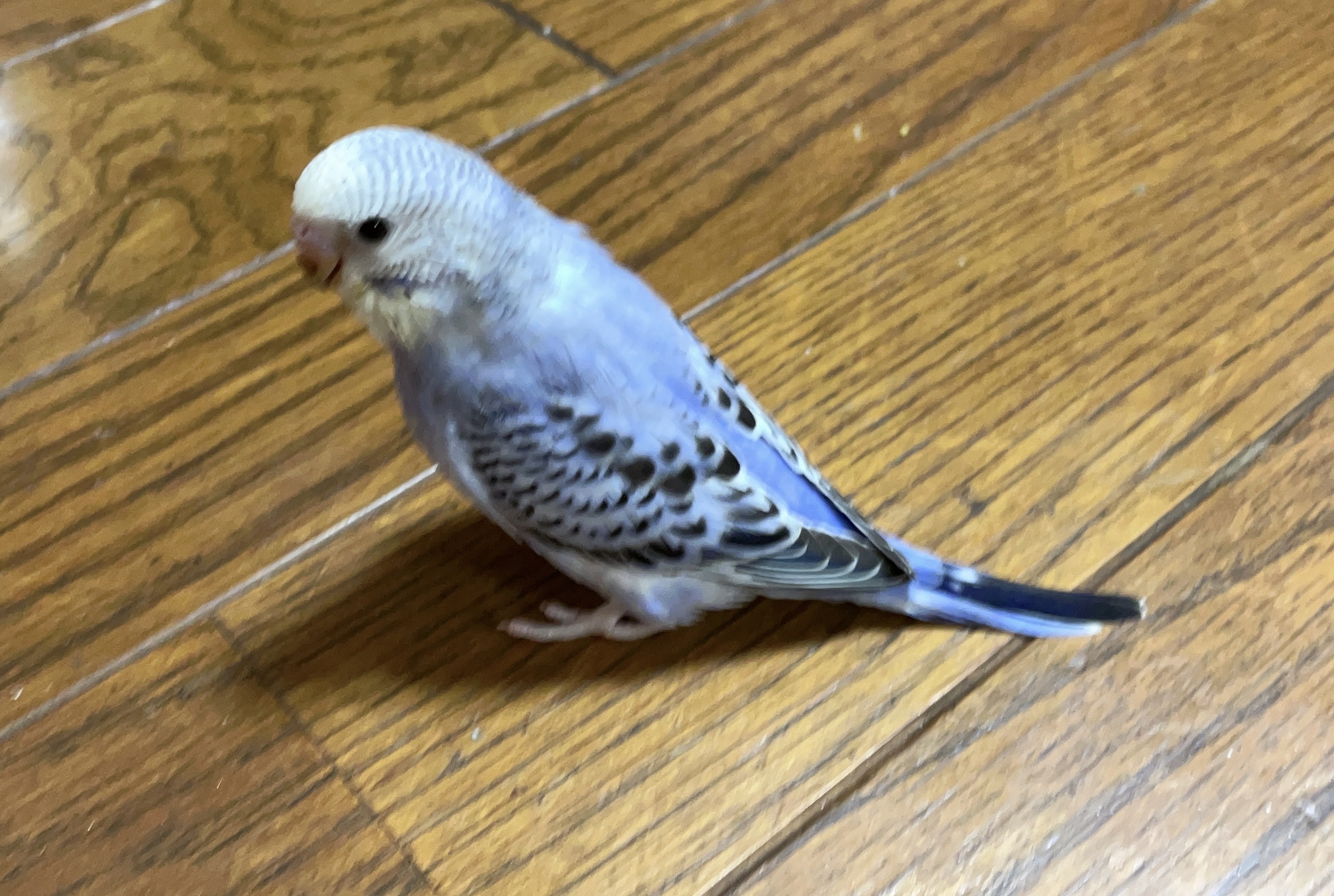 ユーザーの写真