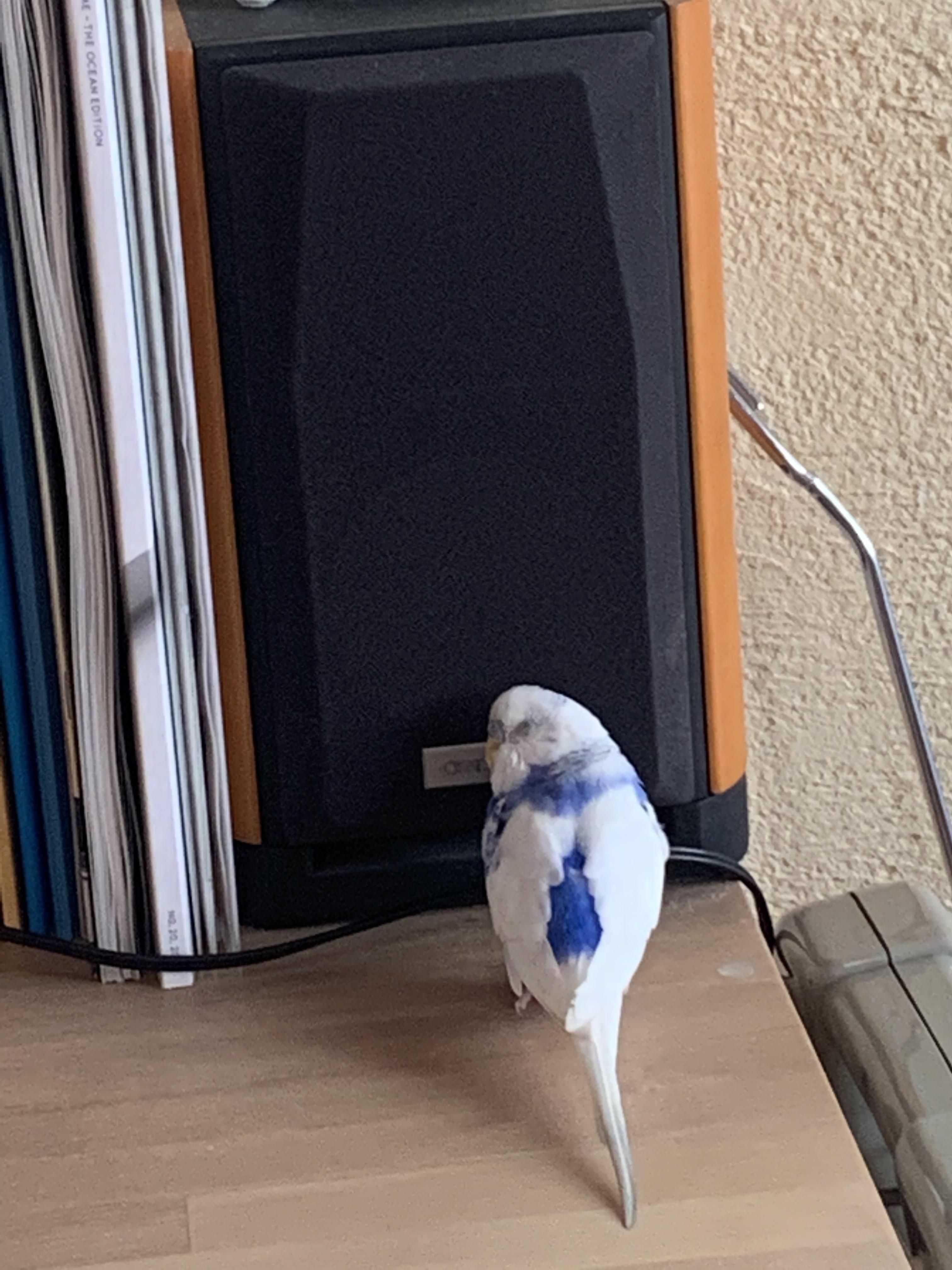 ユーザーの写真