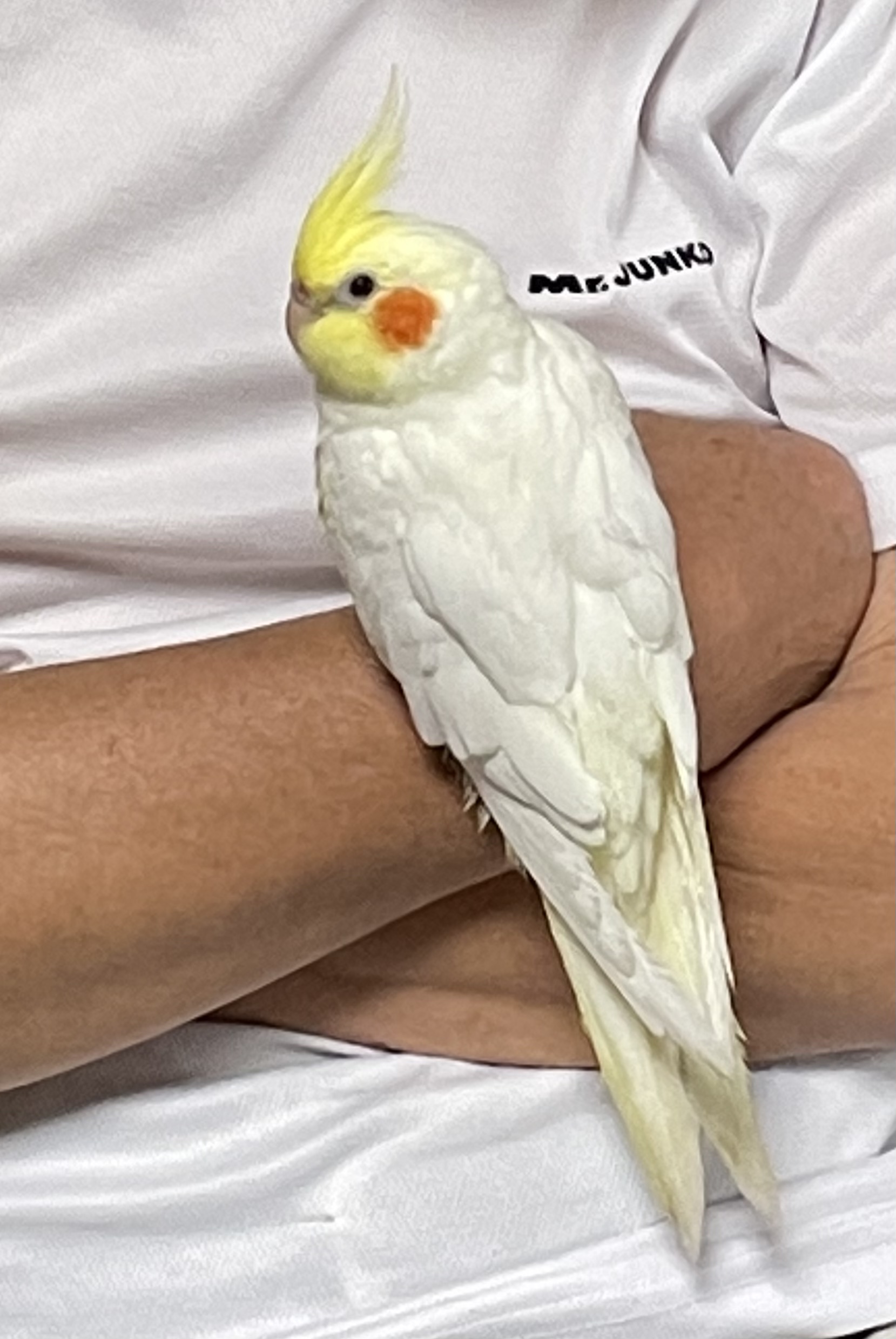 ユーザーの写真