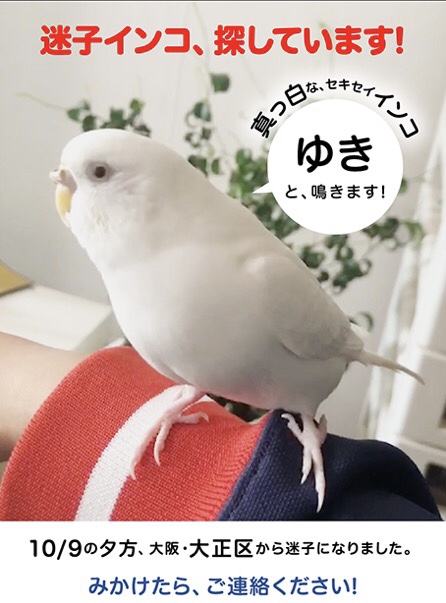 ユーザーの写真