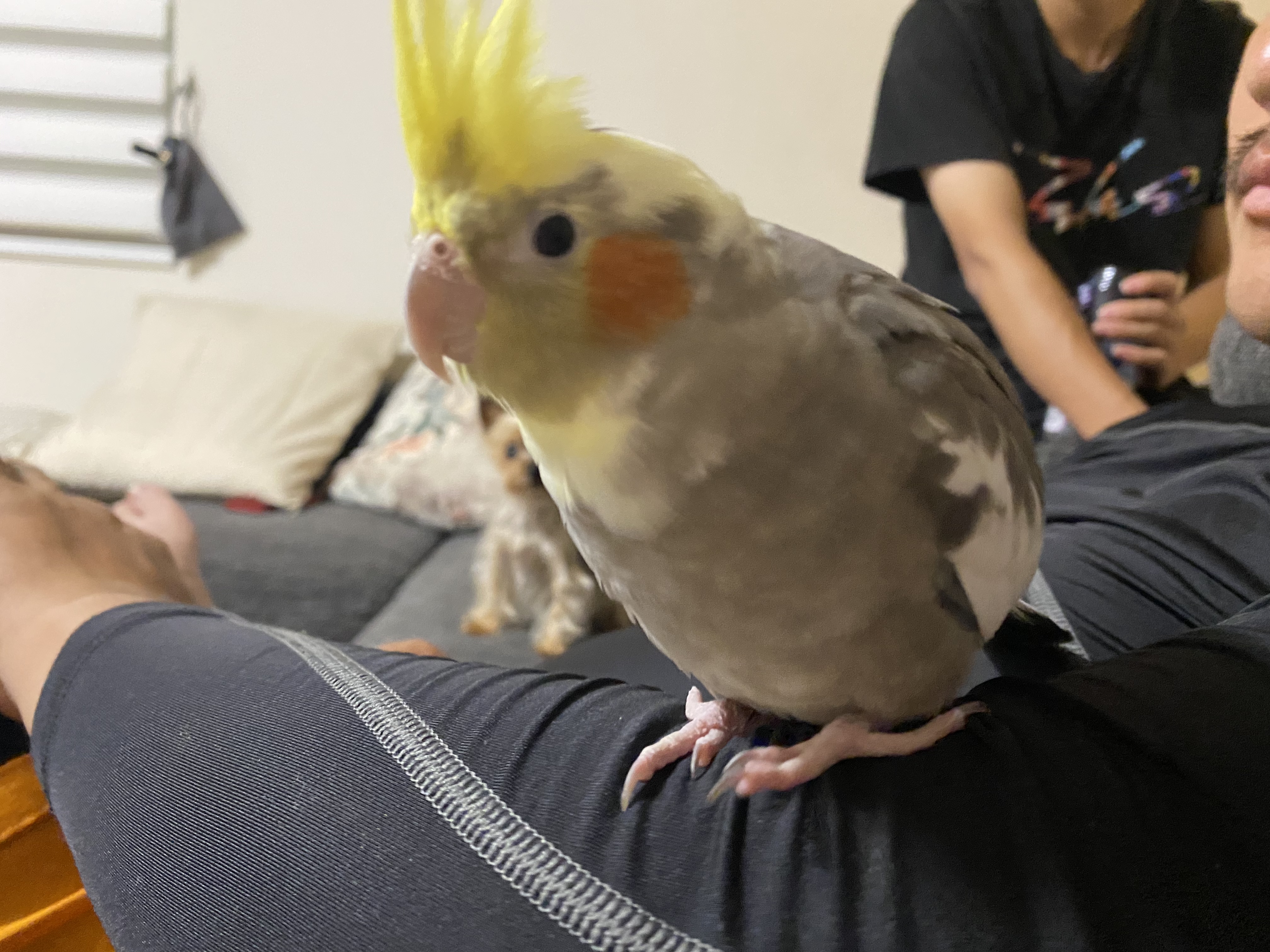 ユーザーの写真