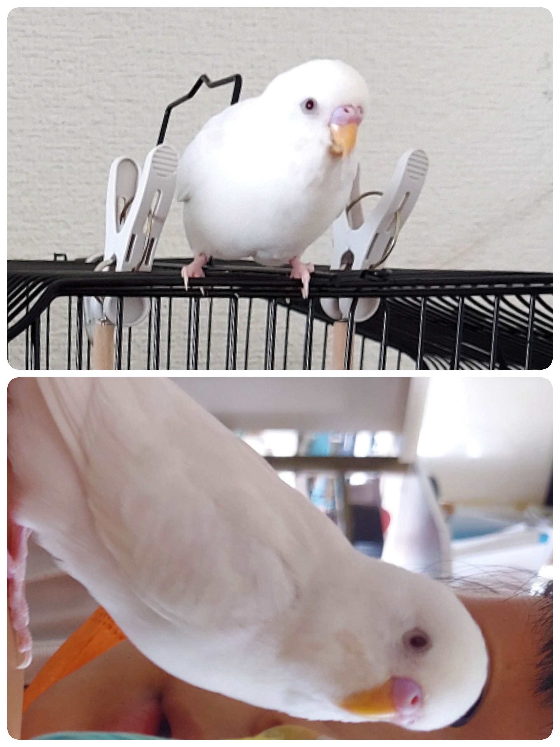 ユーザーの写真