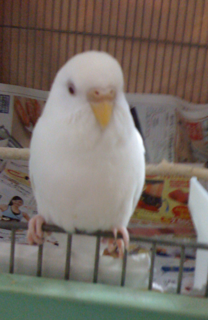 ユーザーの写真