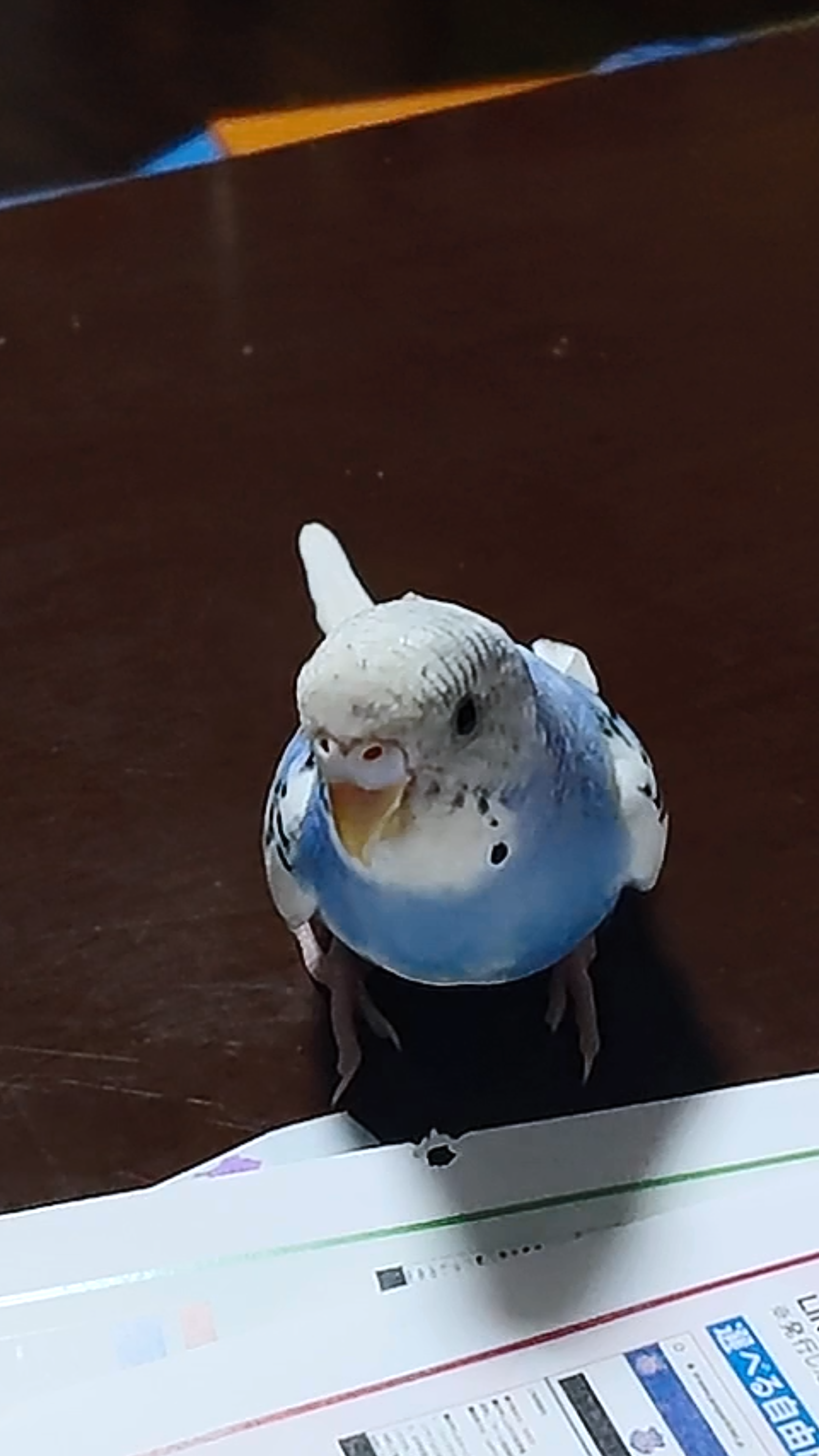 ユーザーの写真