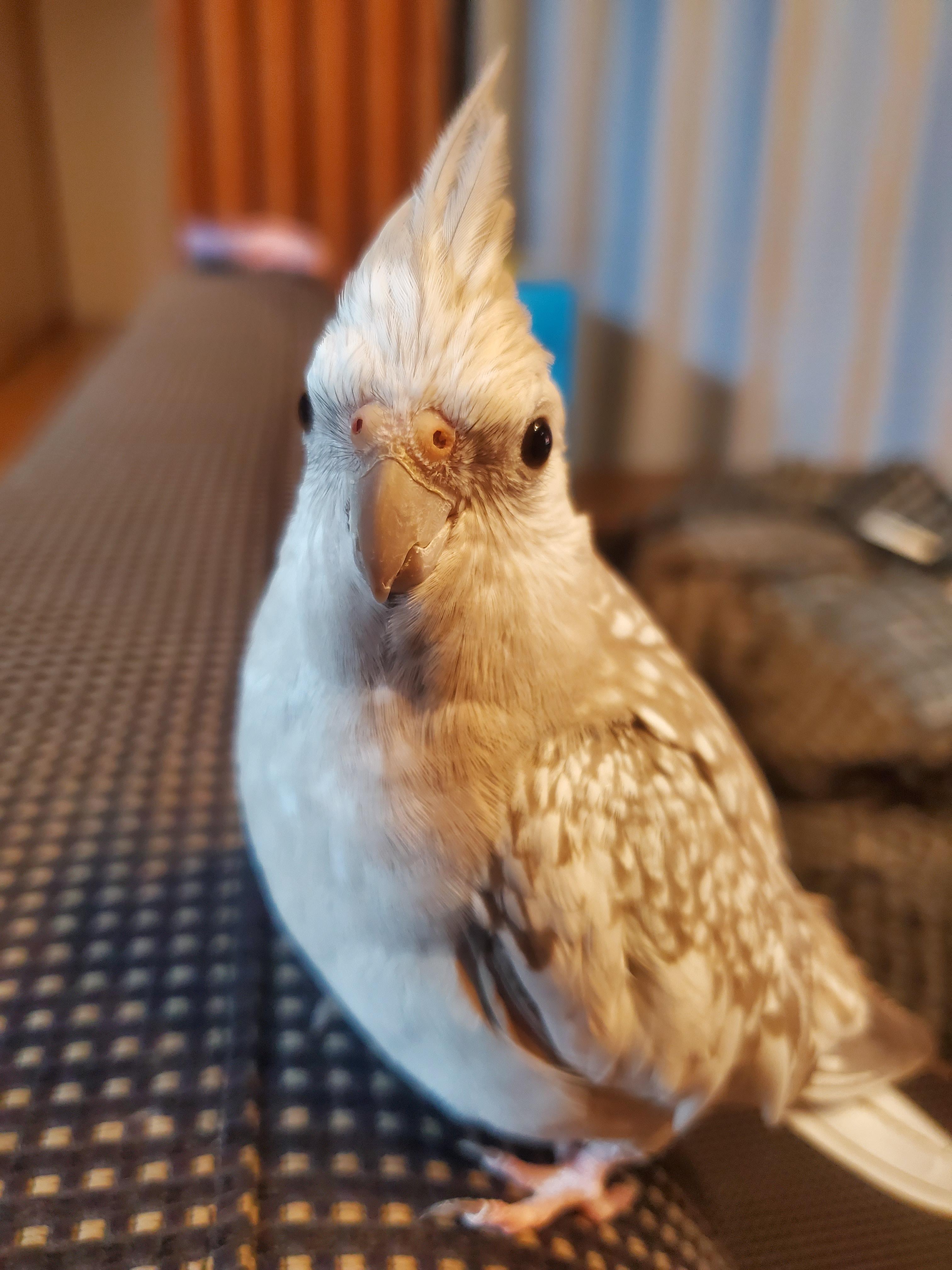 ユーザーの写真
