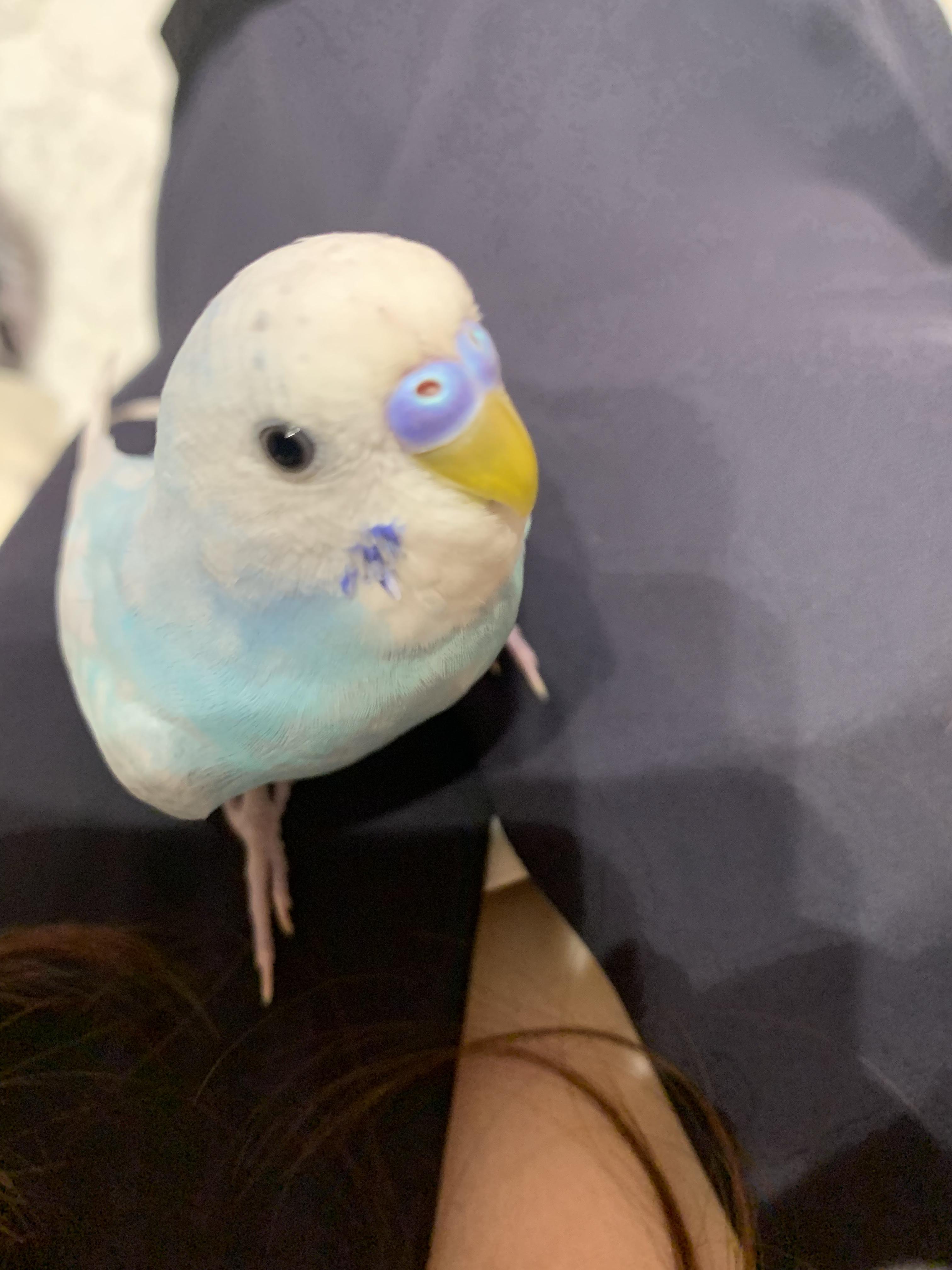 ユーザーの写真