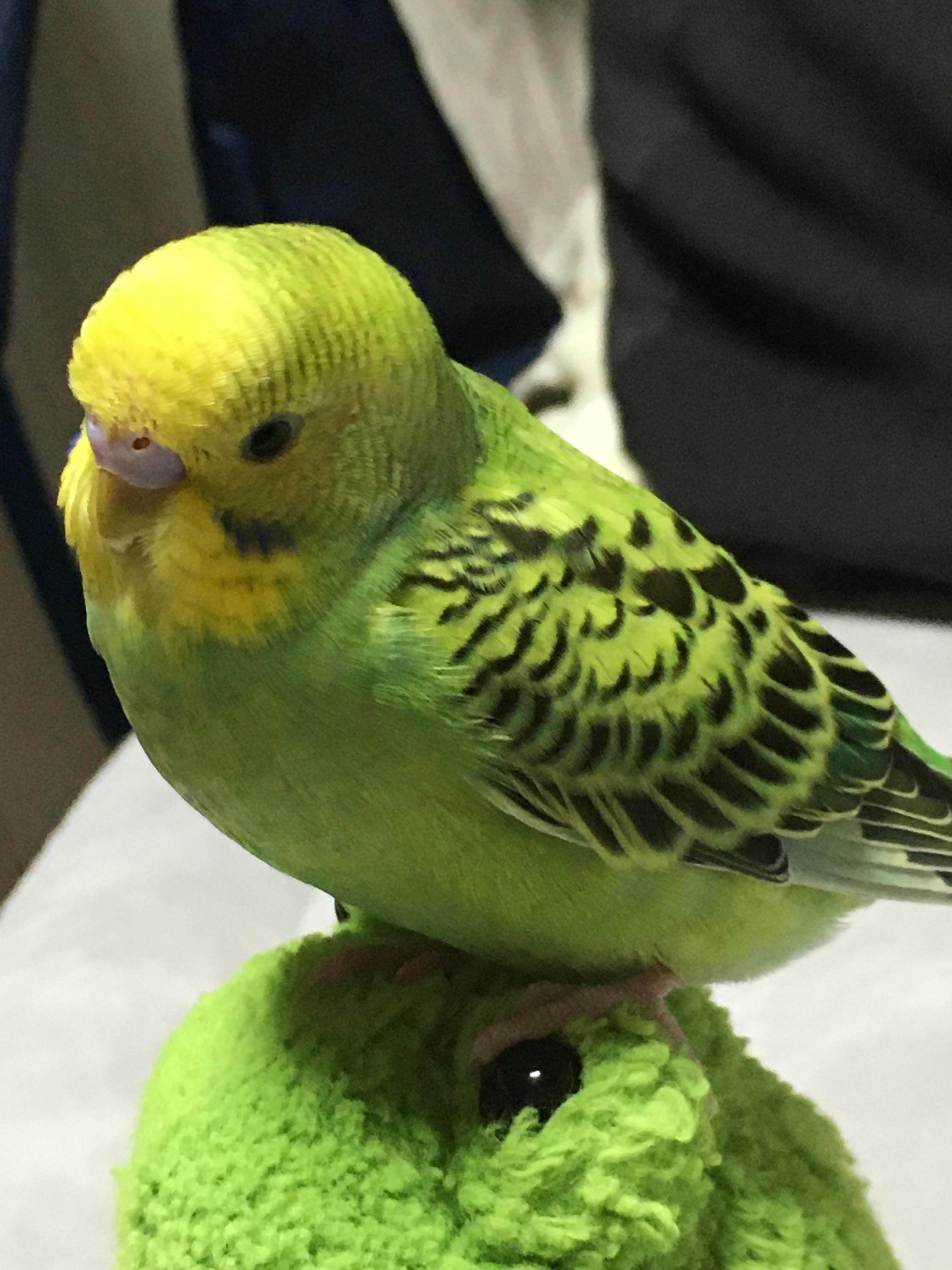 ユーザーの写真