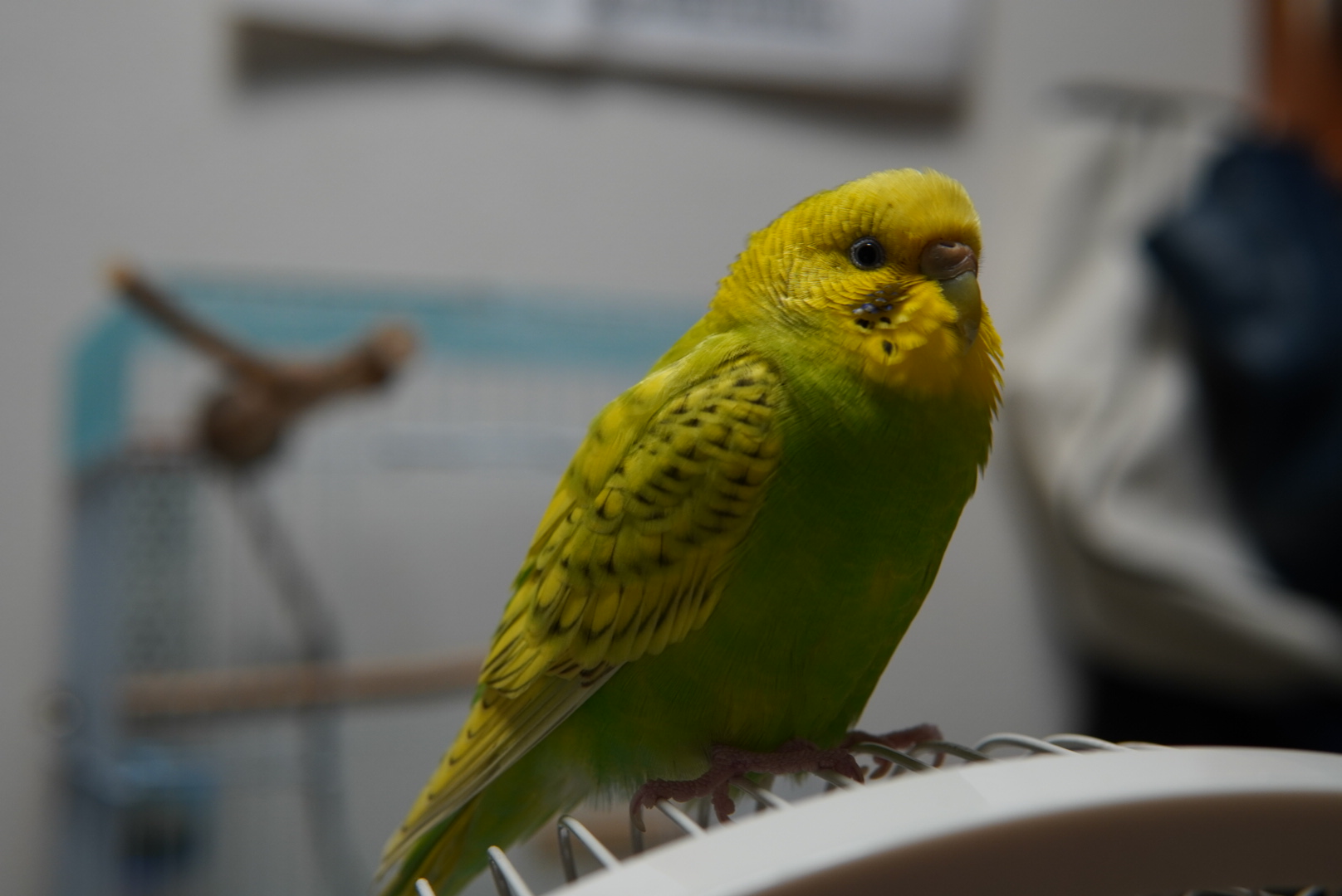 ユーザーの写真
