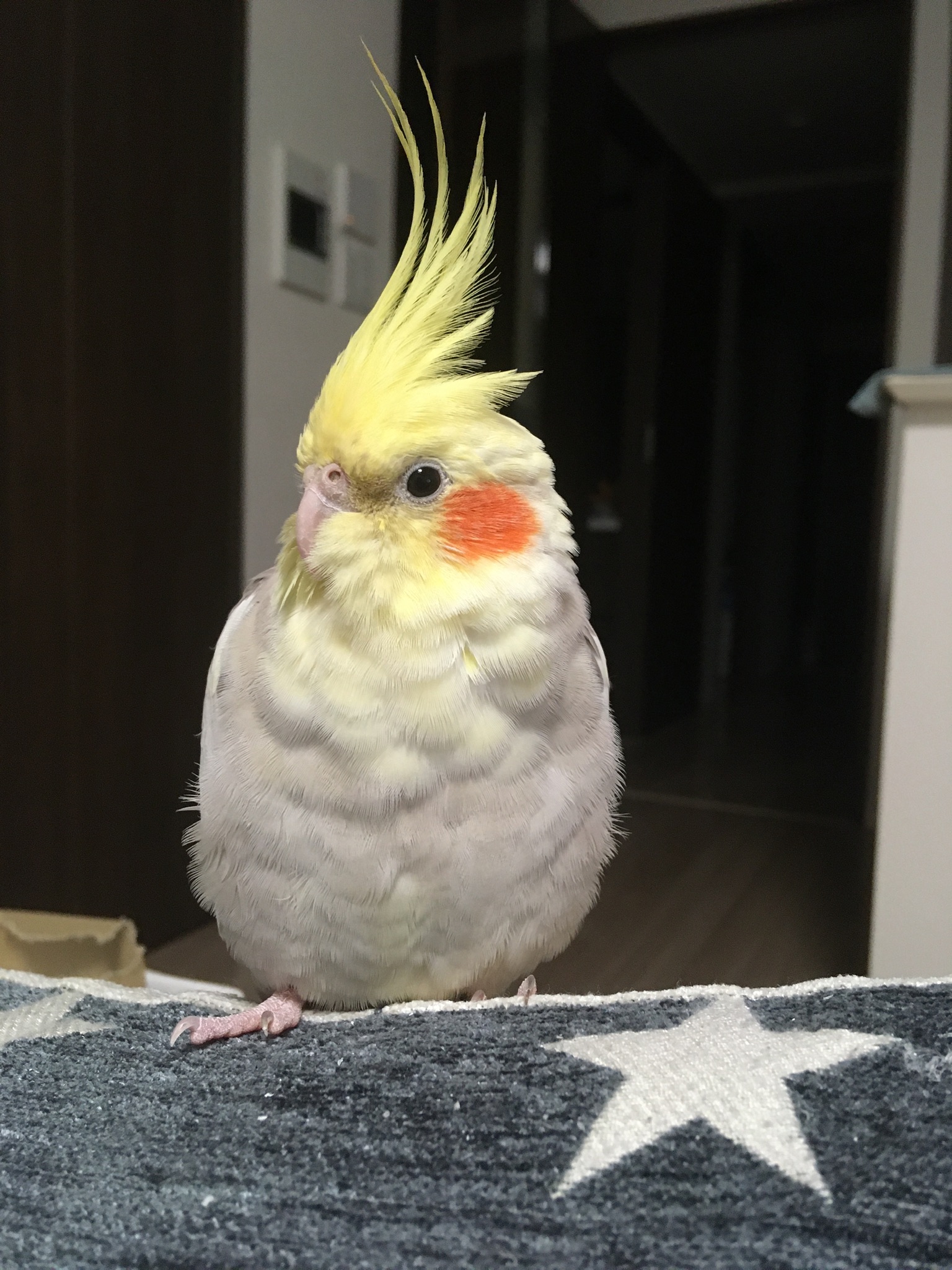 ユーザーの写真