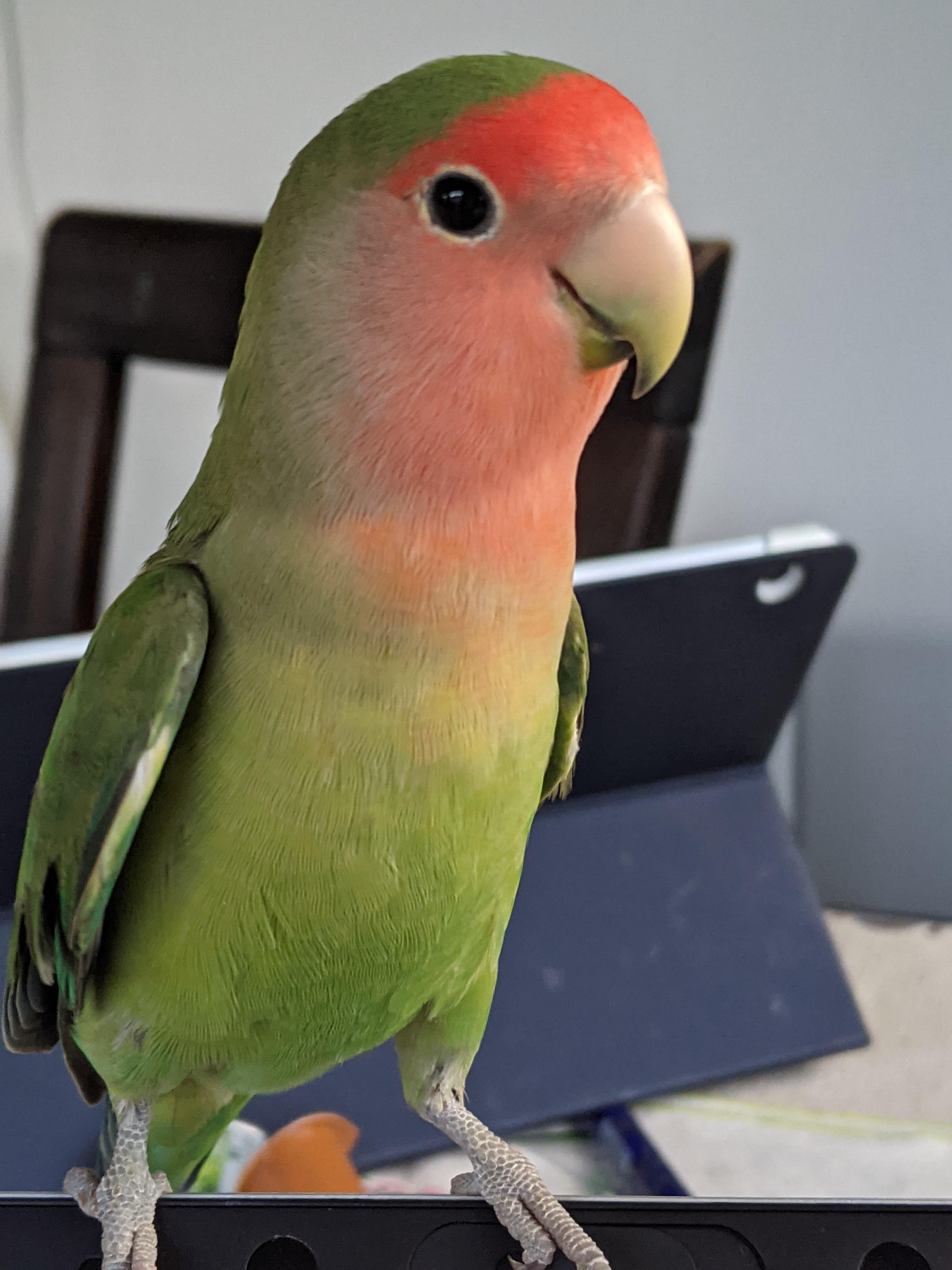 ユーザーの写真