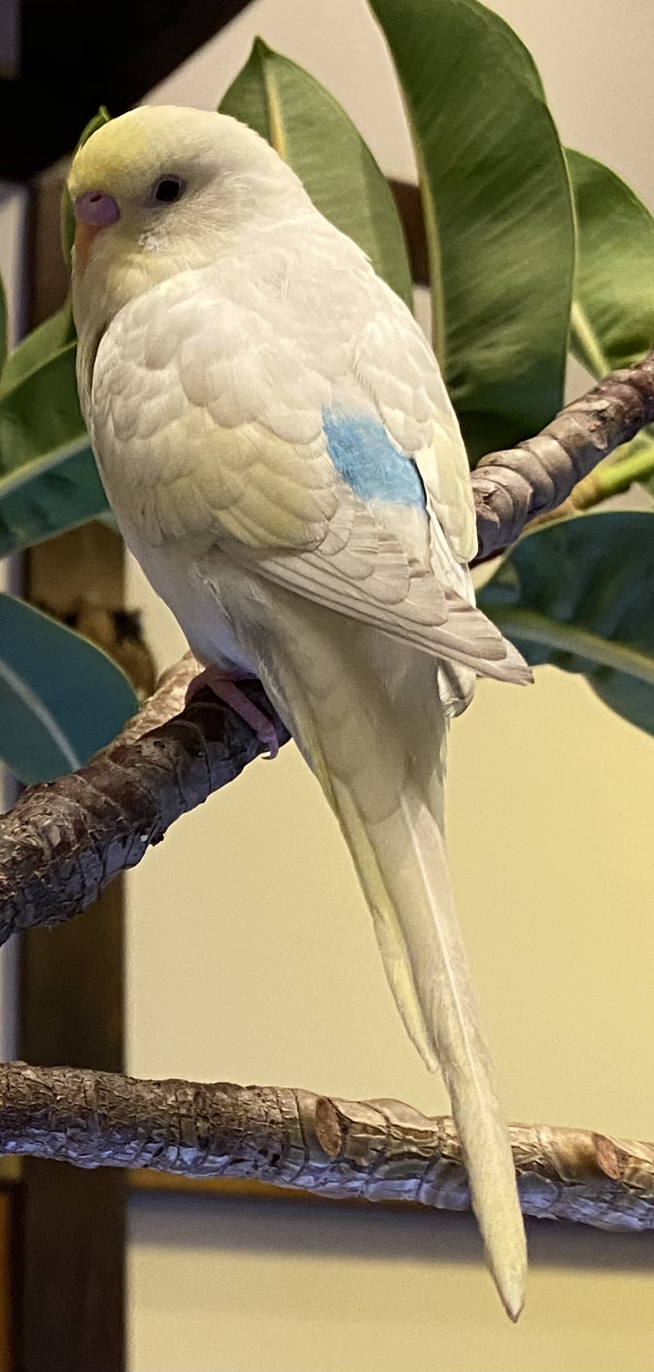 ユーザーの写真