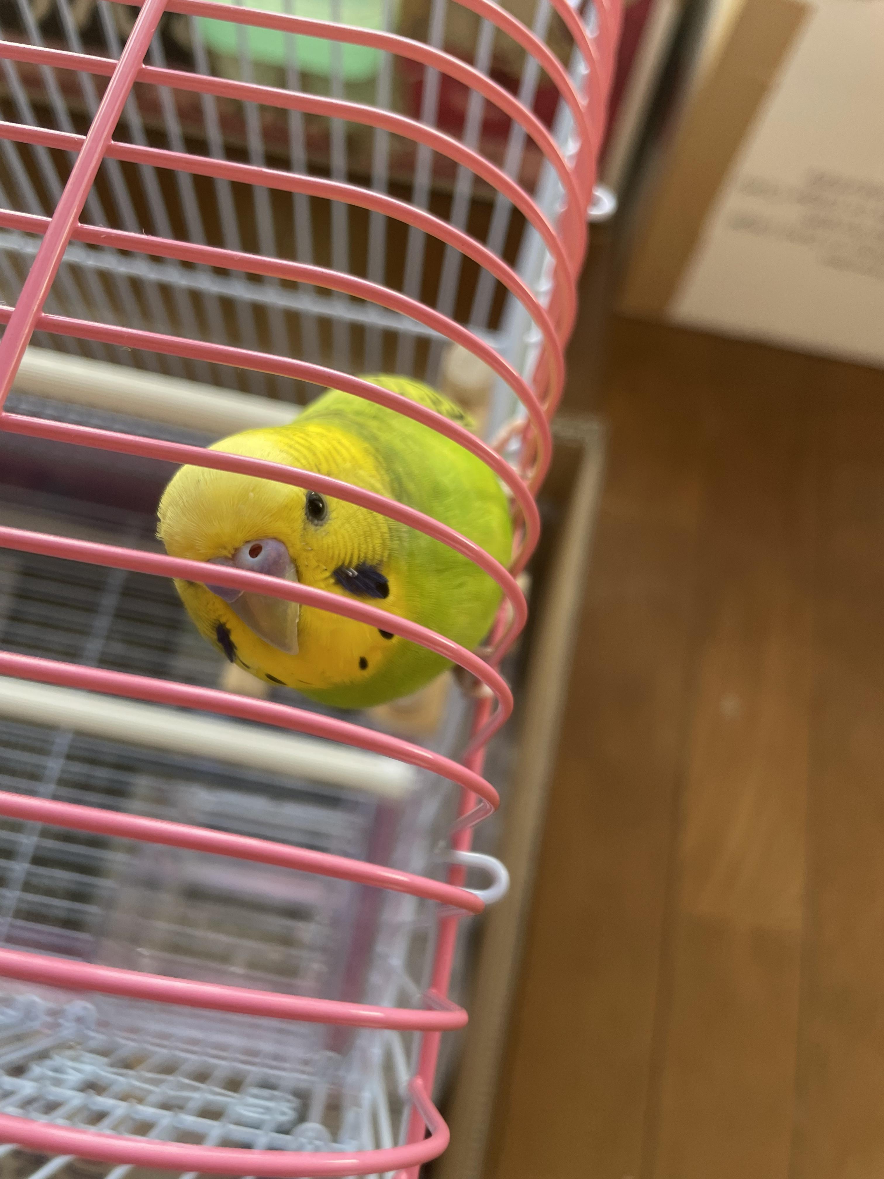 ユーザーの写真