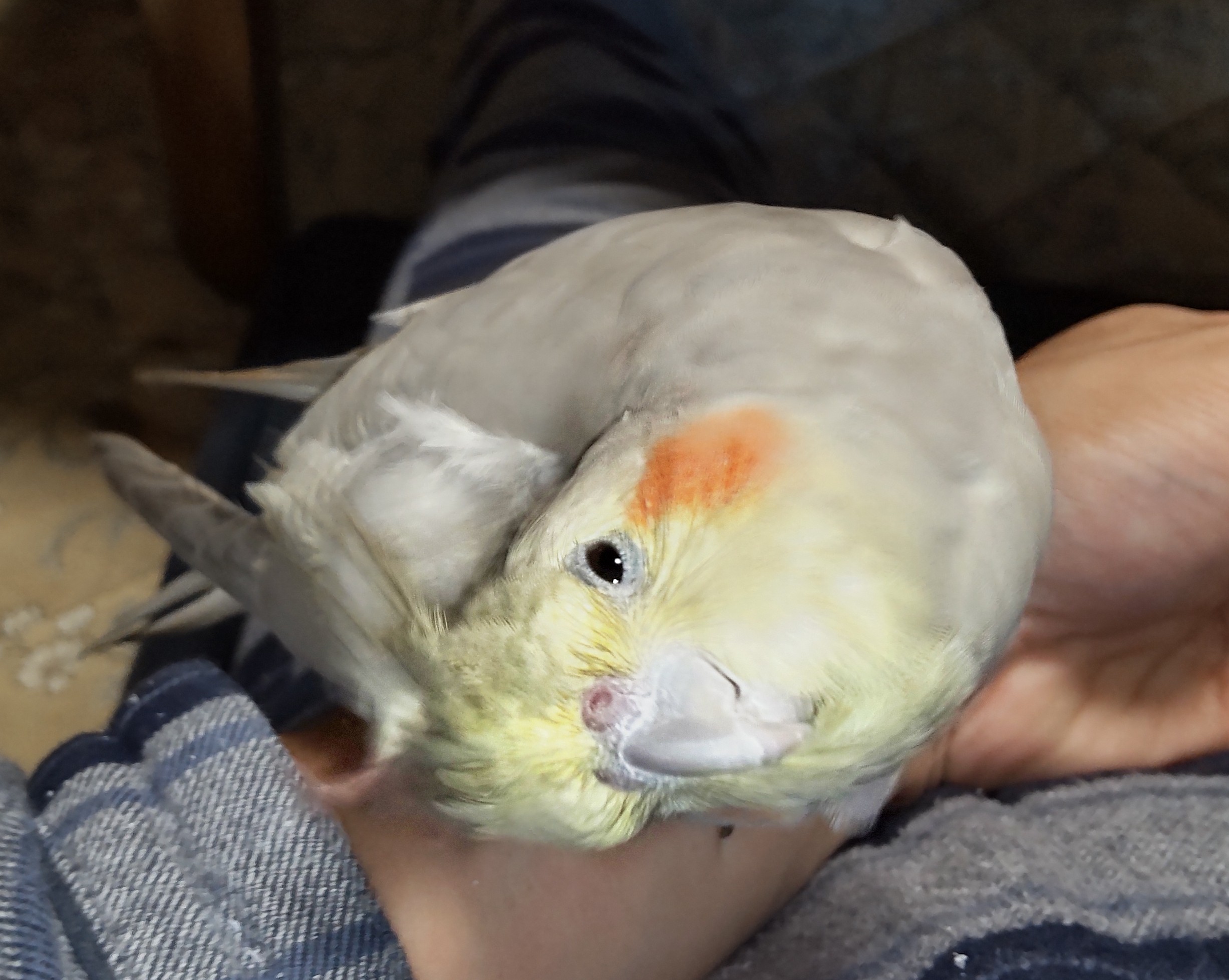 ユーザーの写真