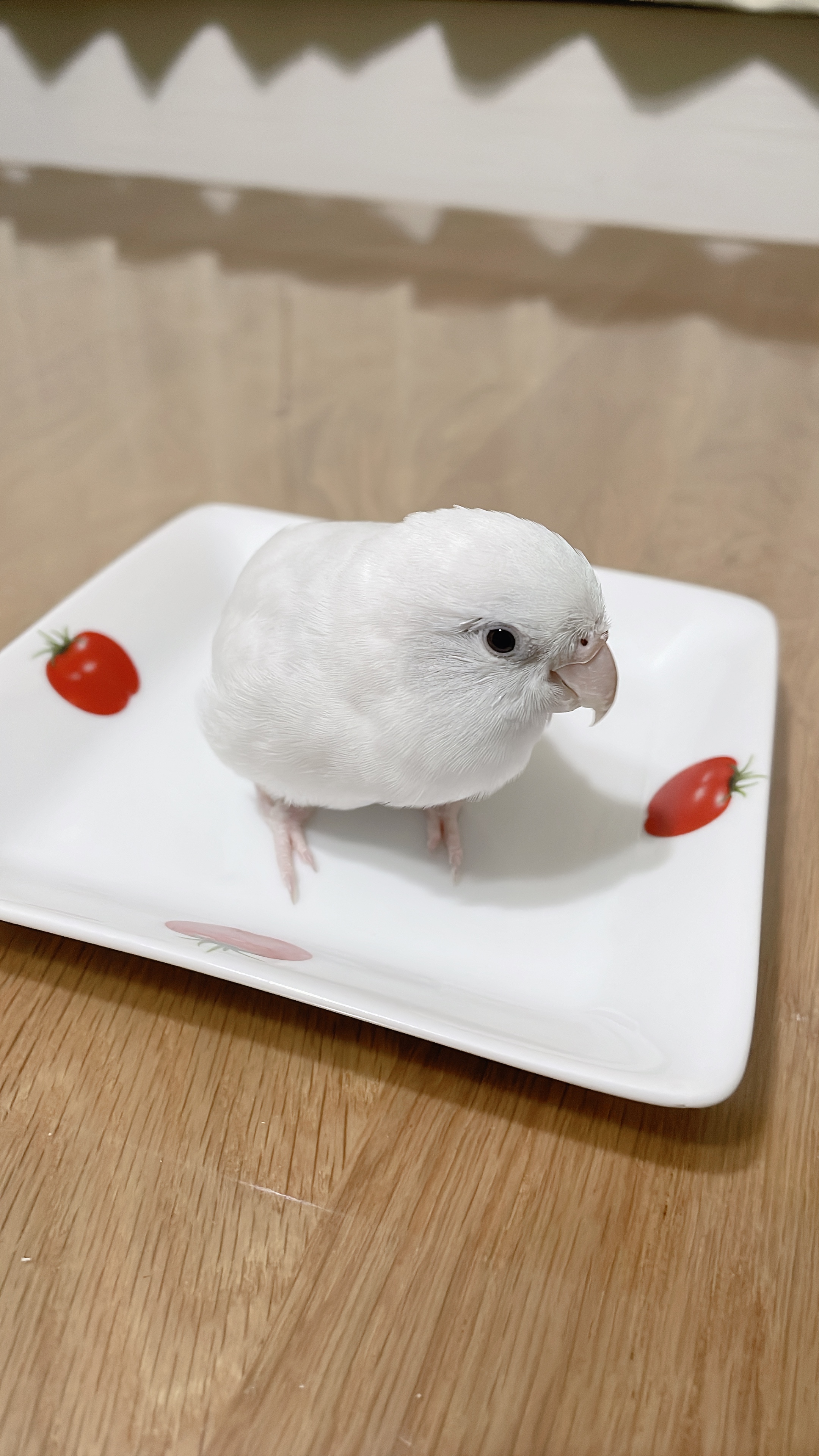 ユーザーの写真