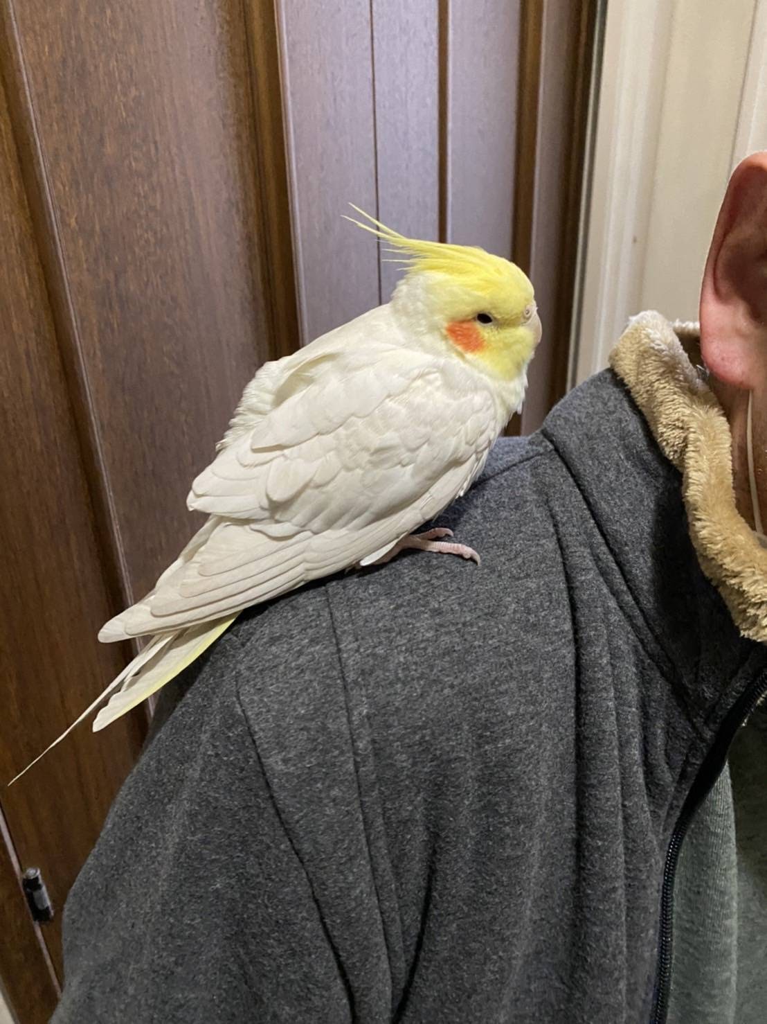 ユーザーの写真