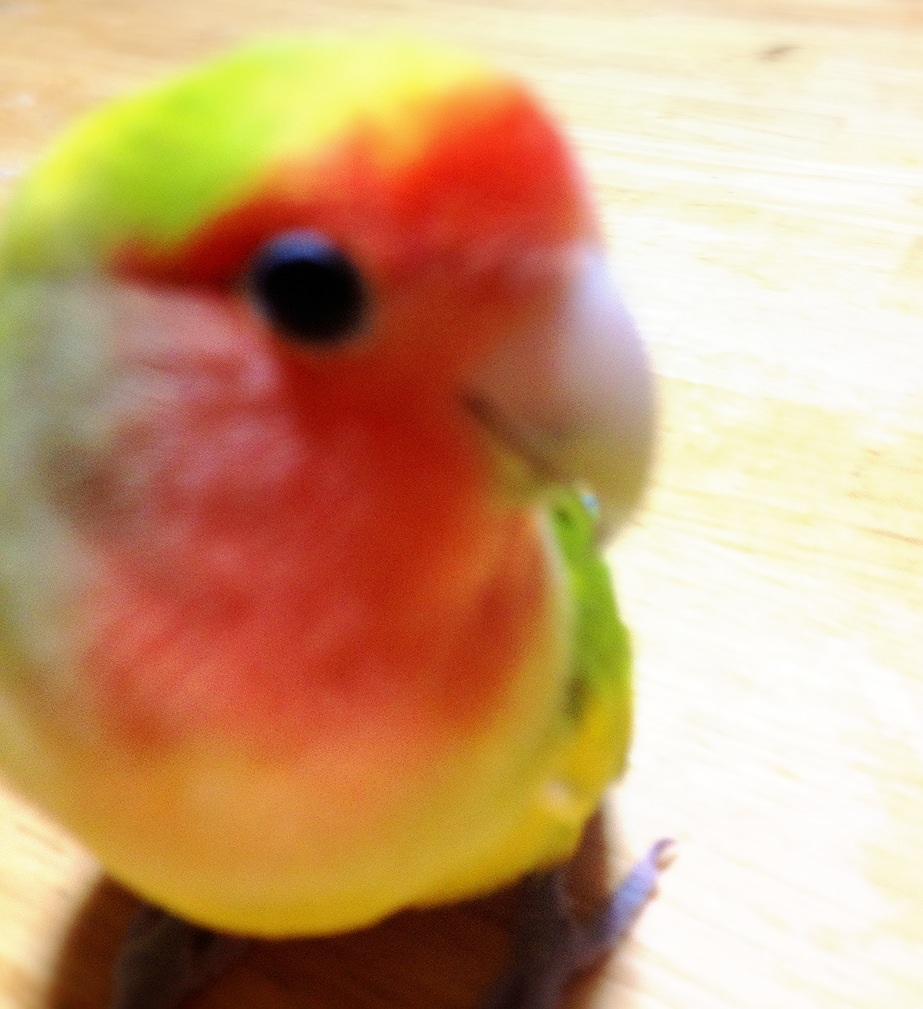 ユーザーの写真
