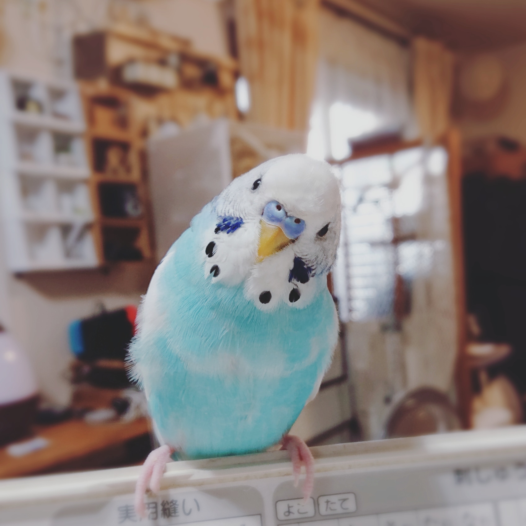 ユーザーの写真