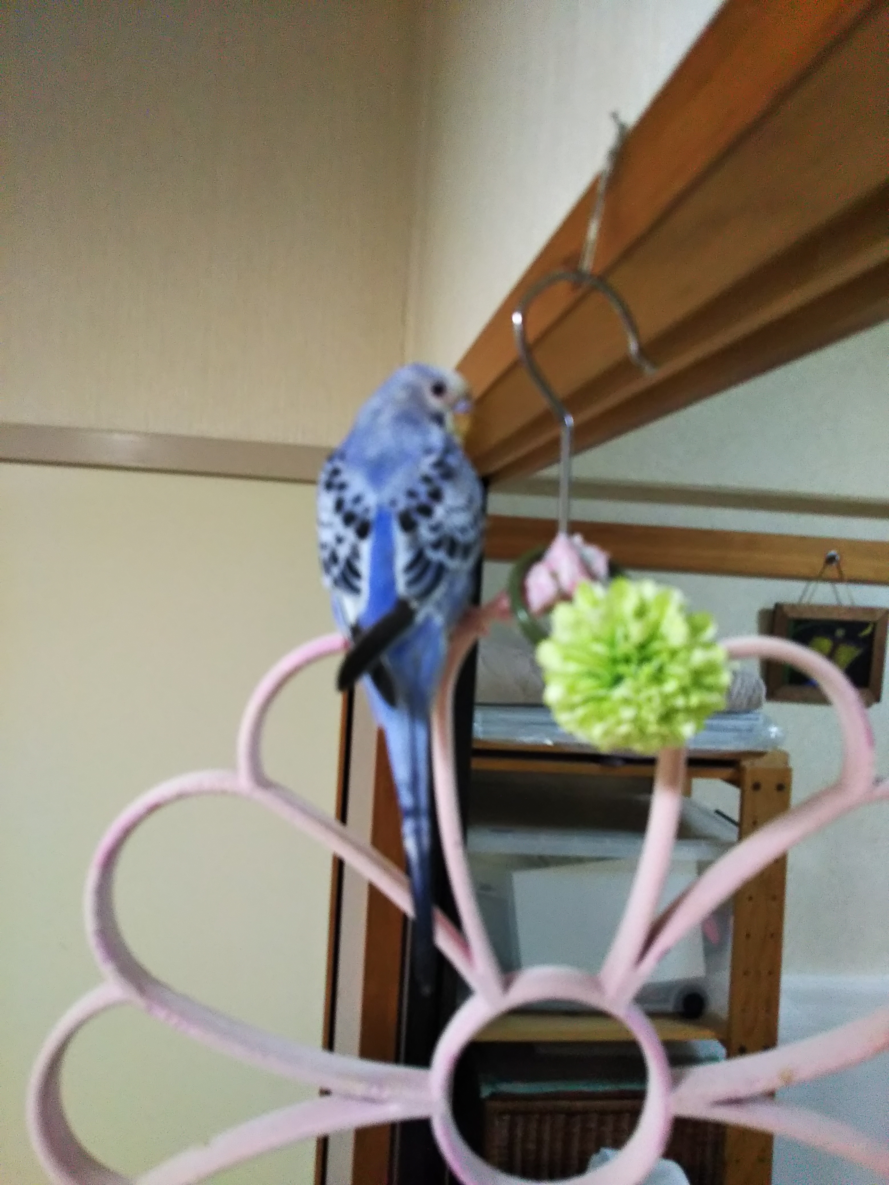 ユーザーの写真