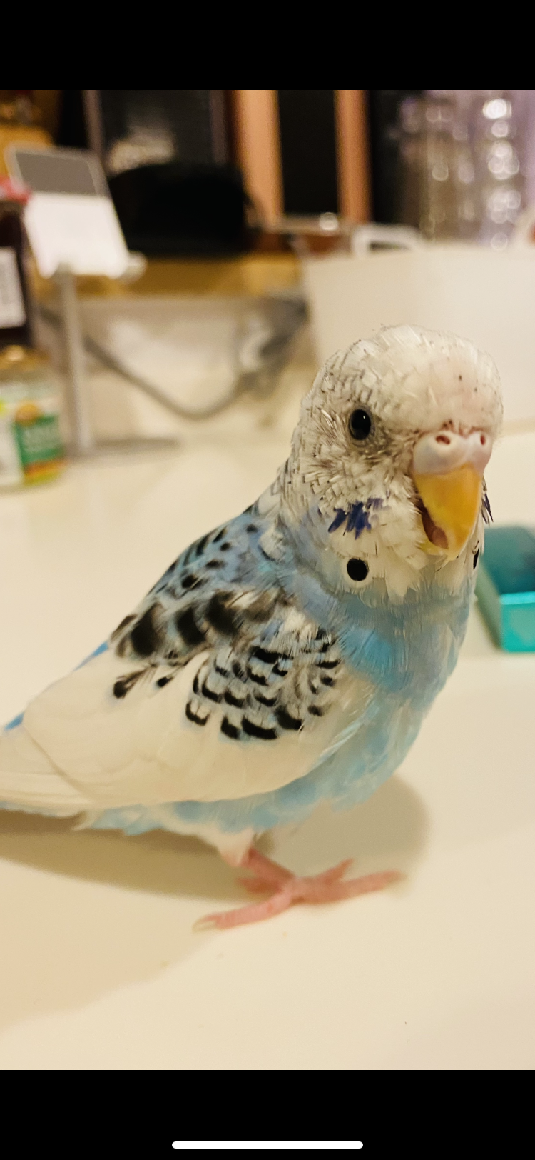 ユーザーの写真