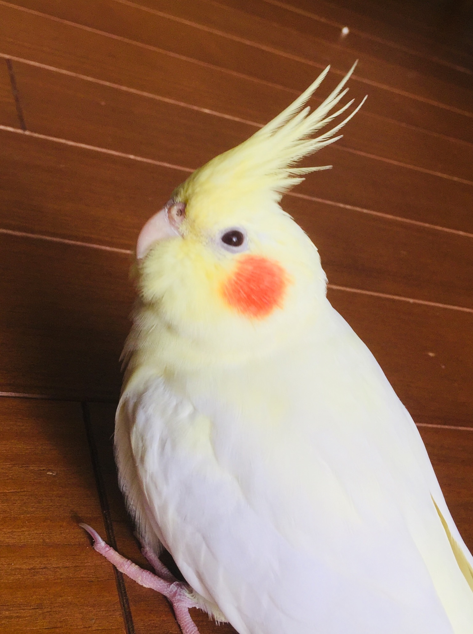 ユーザーの写真