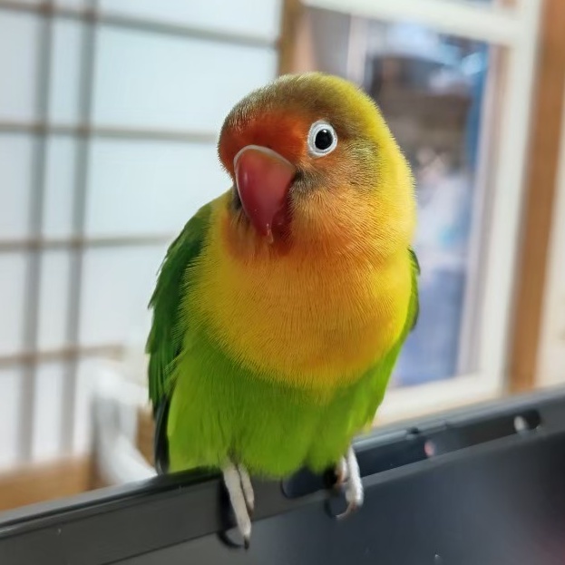 ユーザーの写真