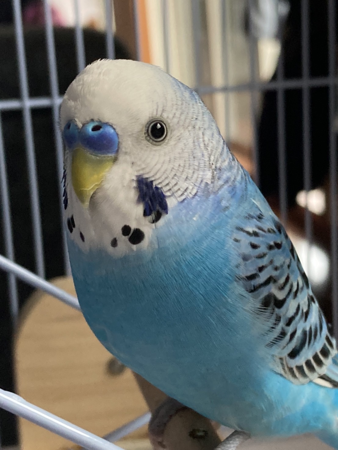 ユーザーの写真