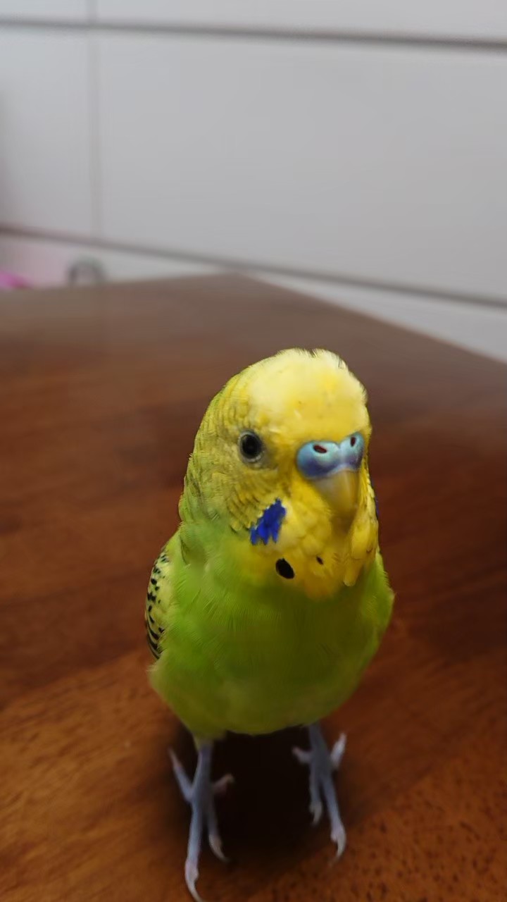 ユーザーの写真